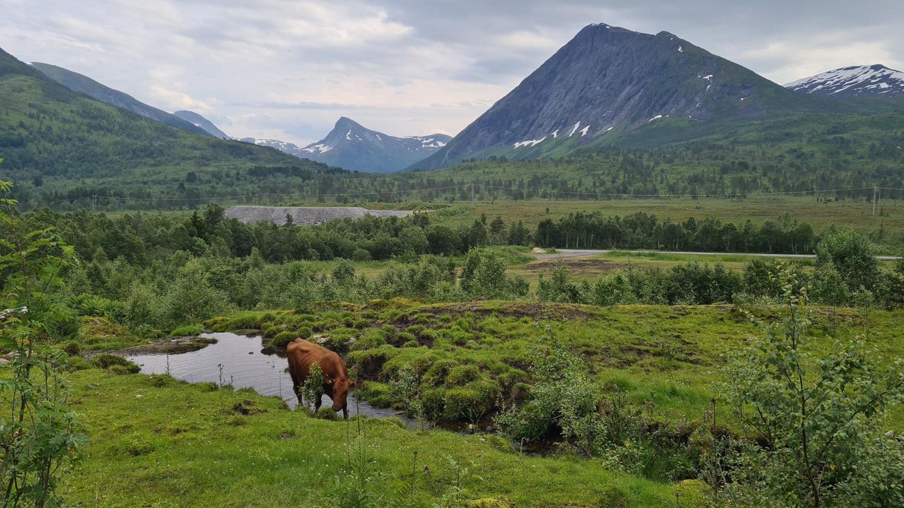 Holiday home among the pearls of Norway