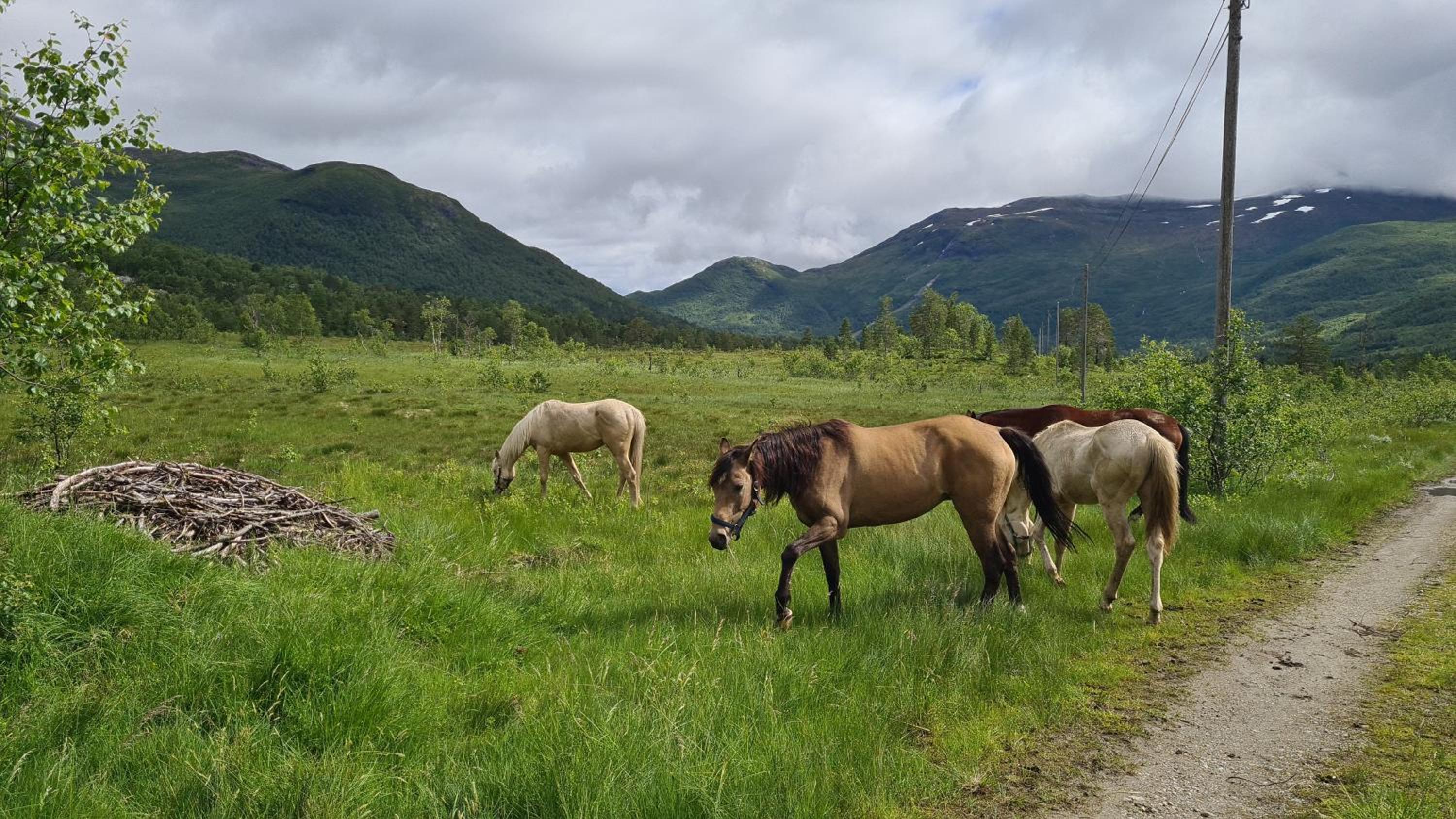 Holiday home among the pearls of Norway
