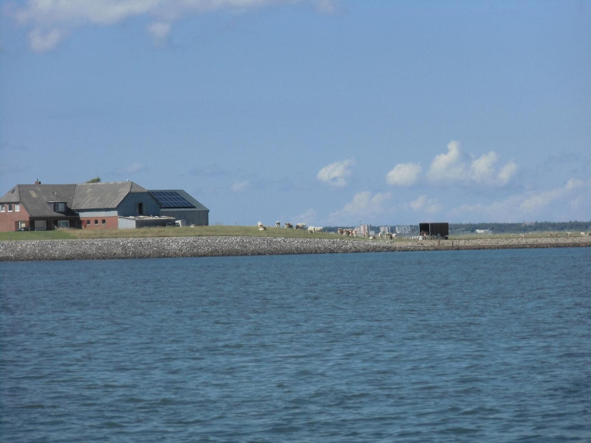Friesenhaus am Meer