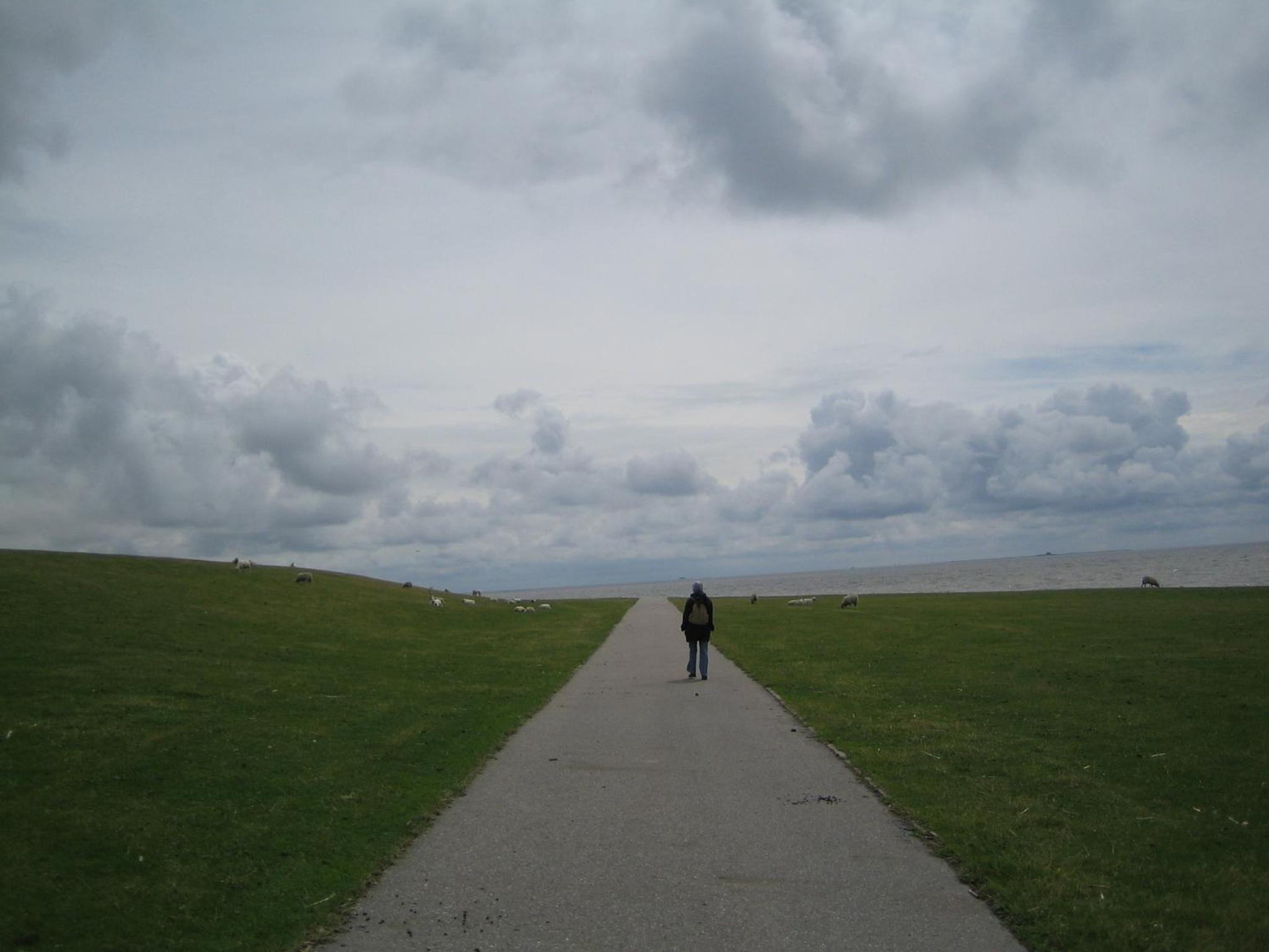 Friesenhaus am Meer