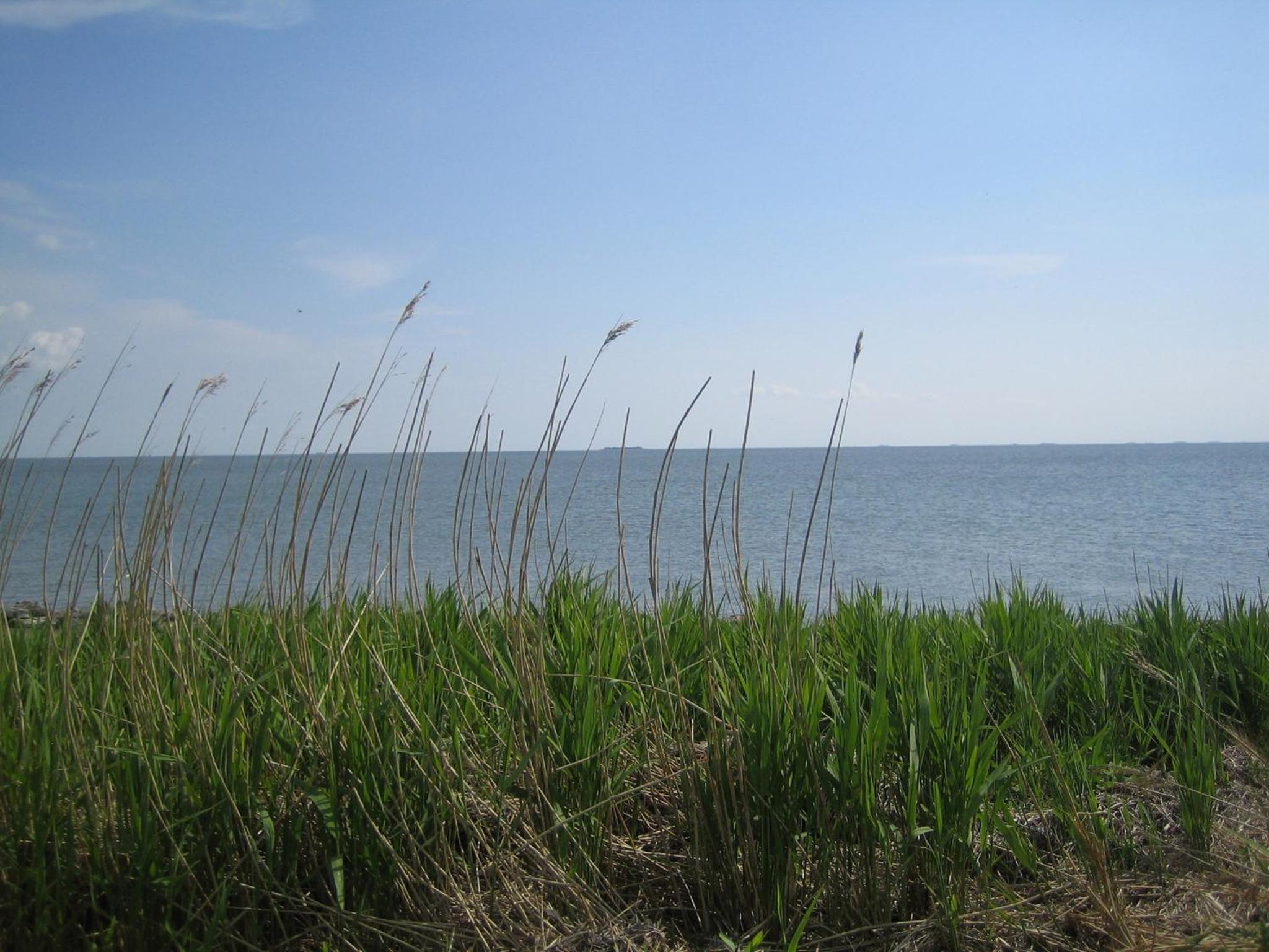 Friesenhaus am Meer