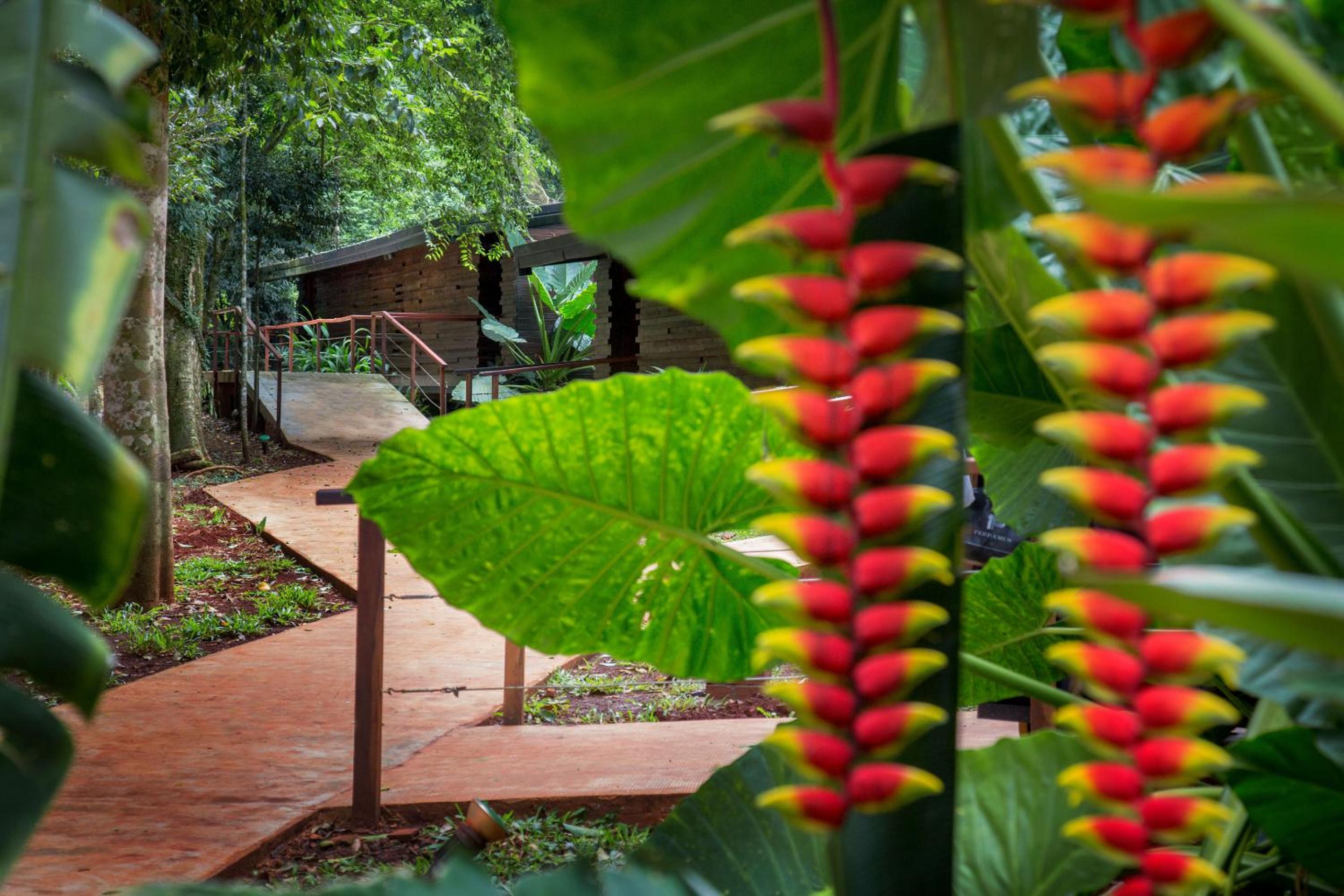 La Reserva Virgin Lodge