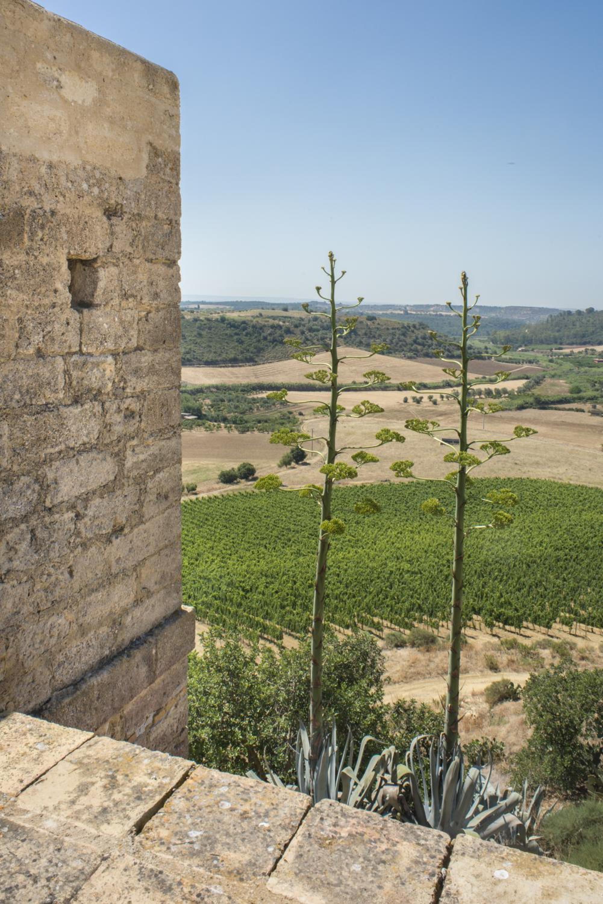 Wine Relais Feudi Del Pisciotto
