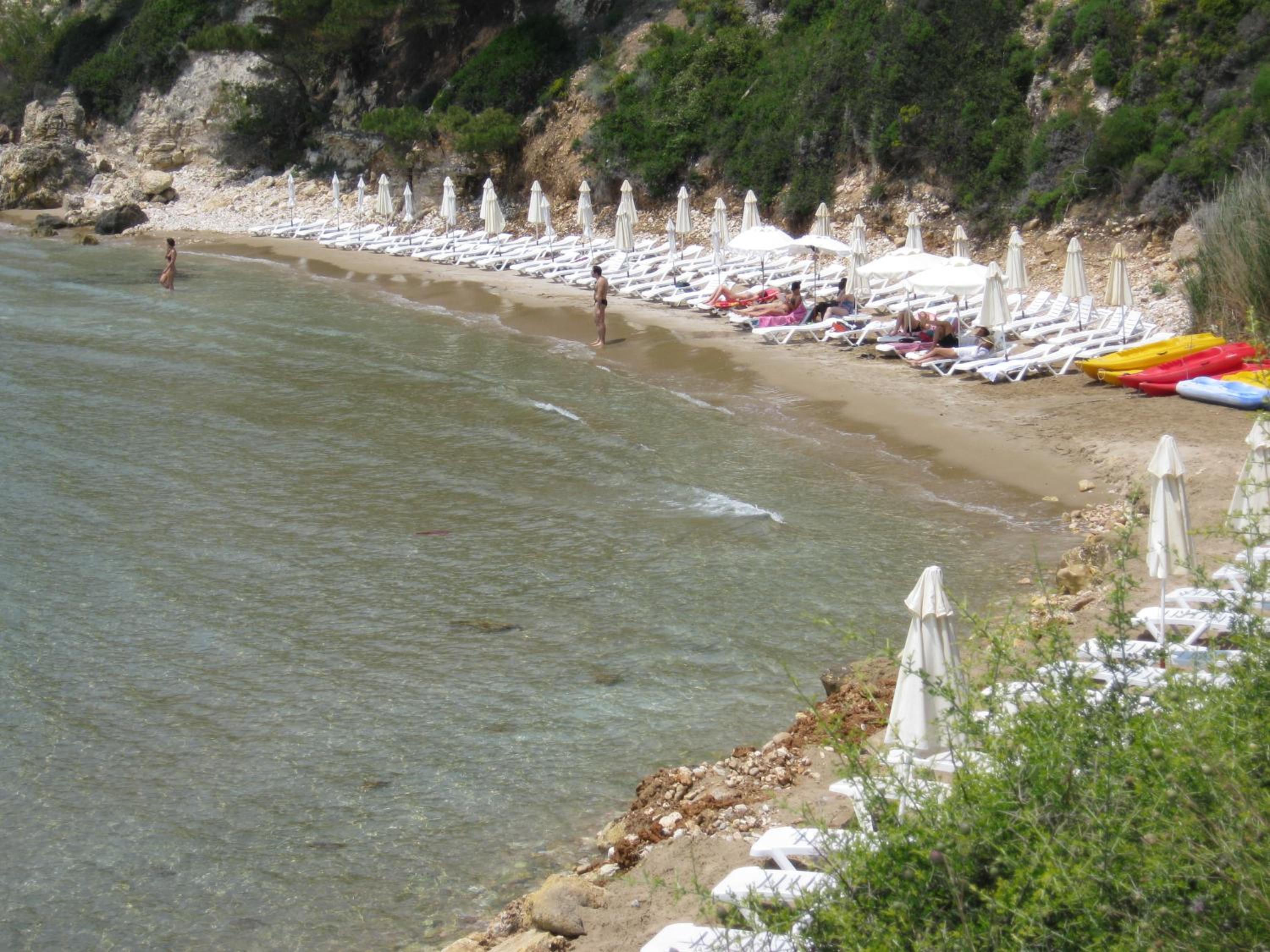 Alonissos Beach Bungalows And Suites Hotel