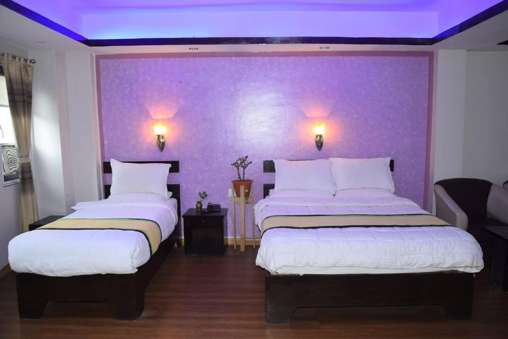 Studio Family apartment Thamel, green-hospitality view 2