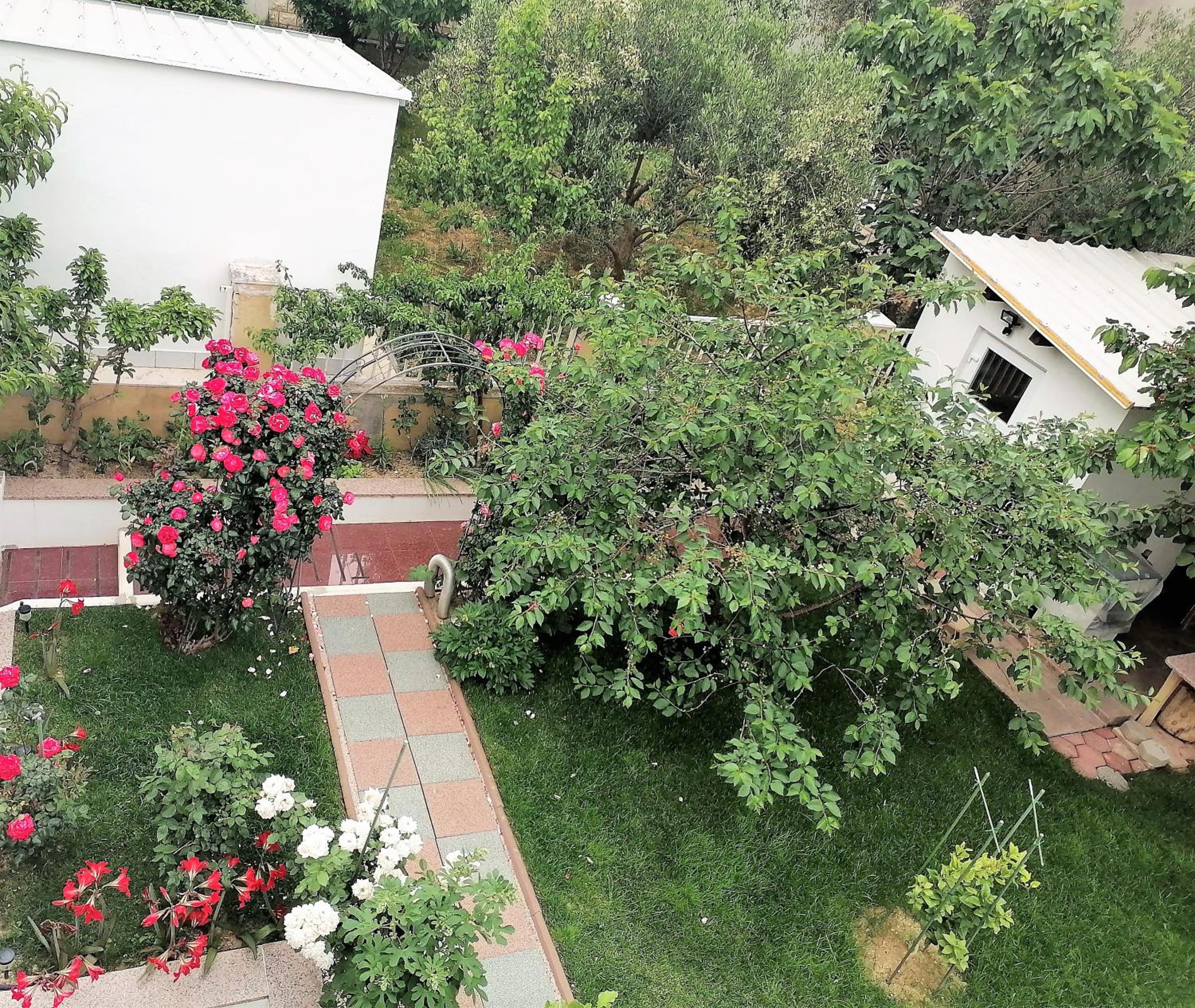 Photo 22