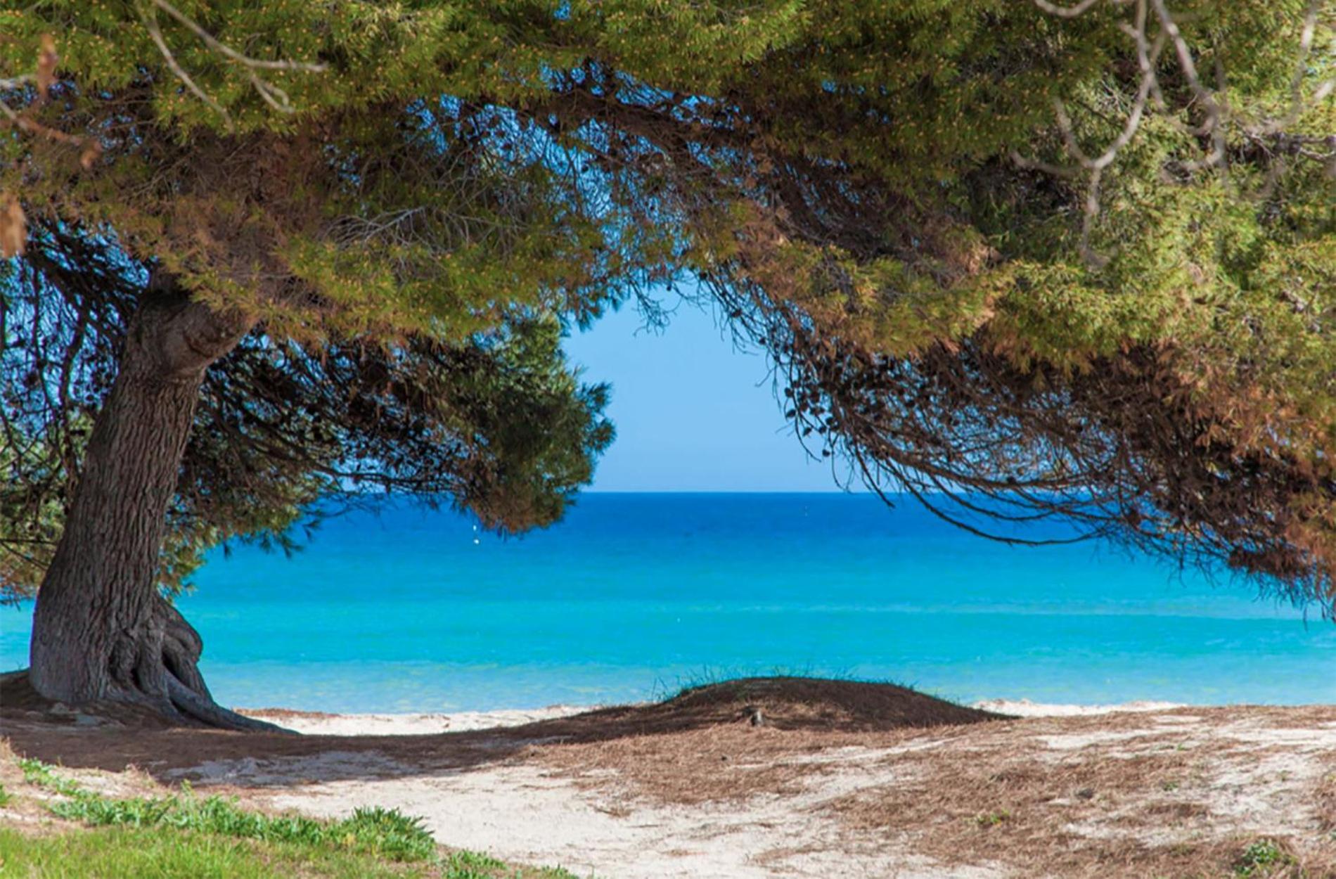 Apartment Countess Garden 3-2, Sun of the Bay 1B, at Alcudia Beach