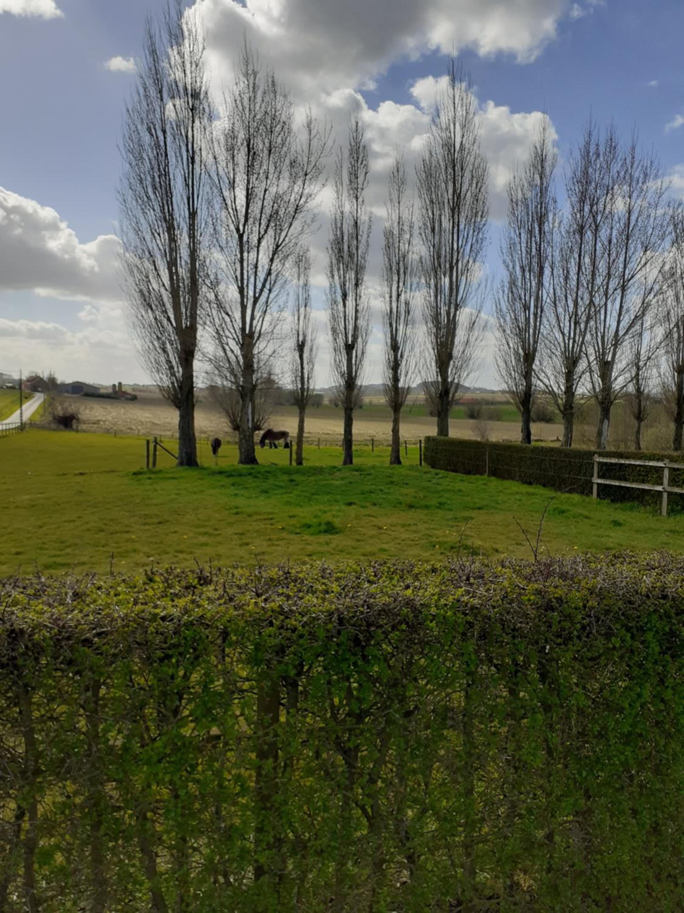 B&B In 't Stille Weg