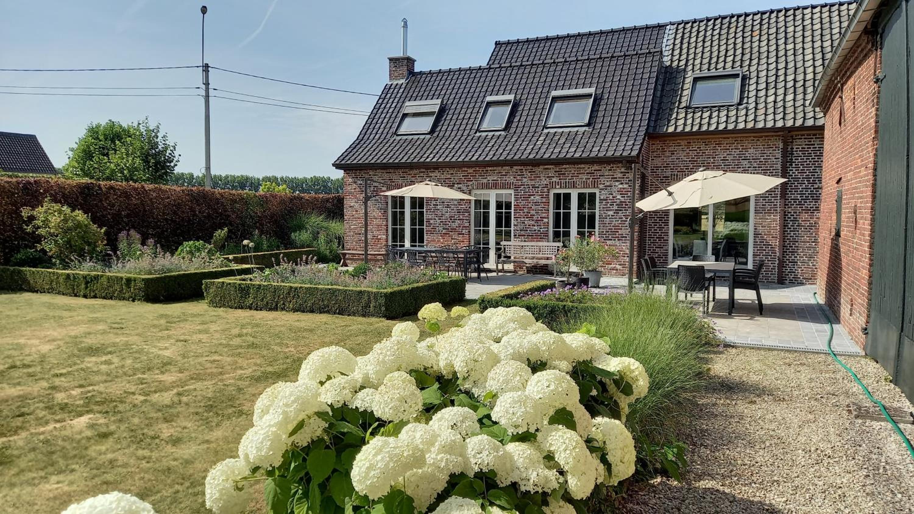 Hermelgemhoeve - Liriope