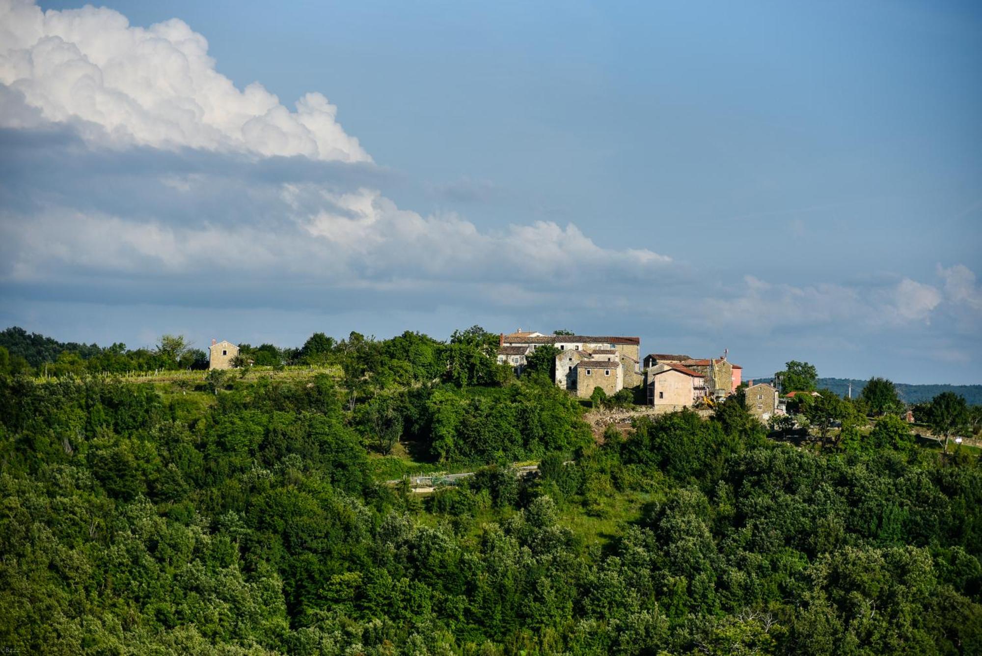 L'Abbraccio della Quercia - Suites view 5