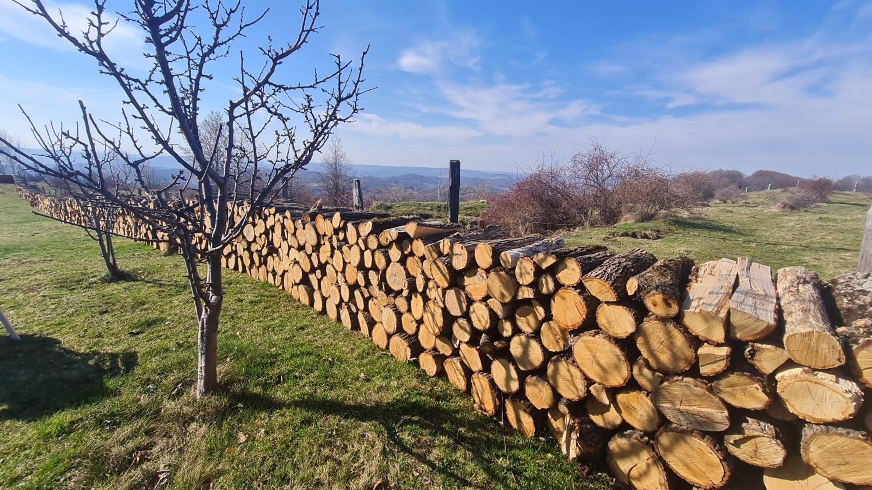 Pensiune Runcu Stone