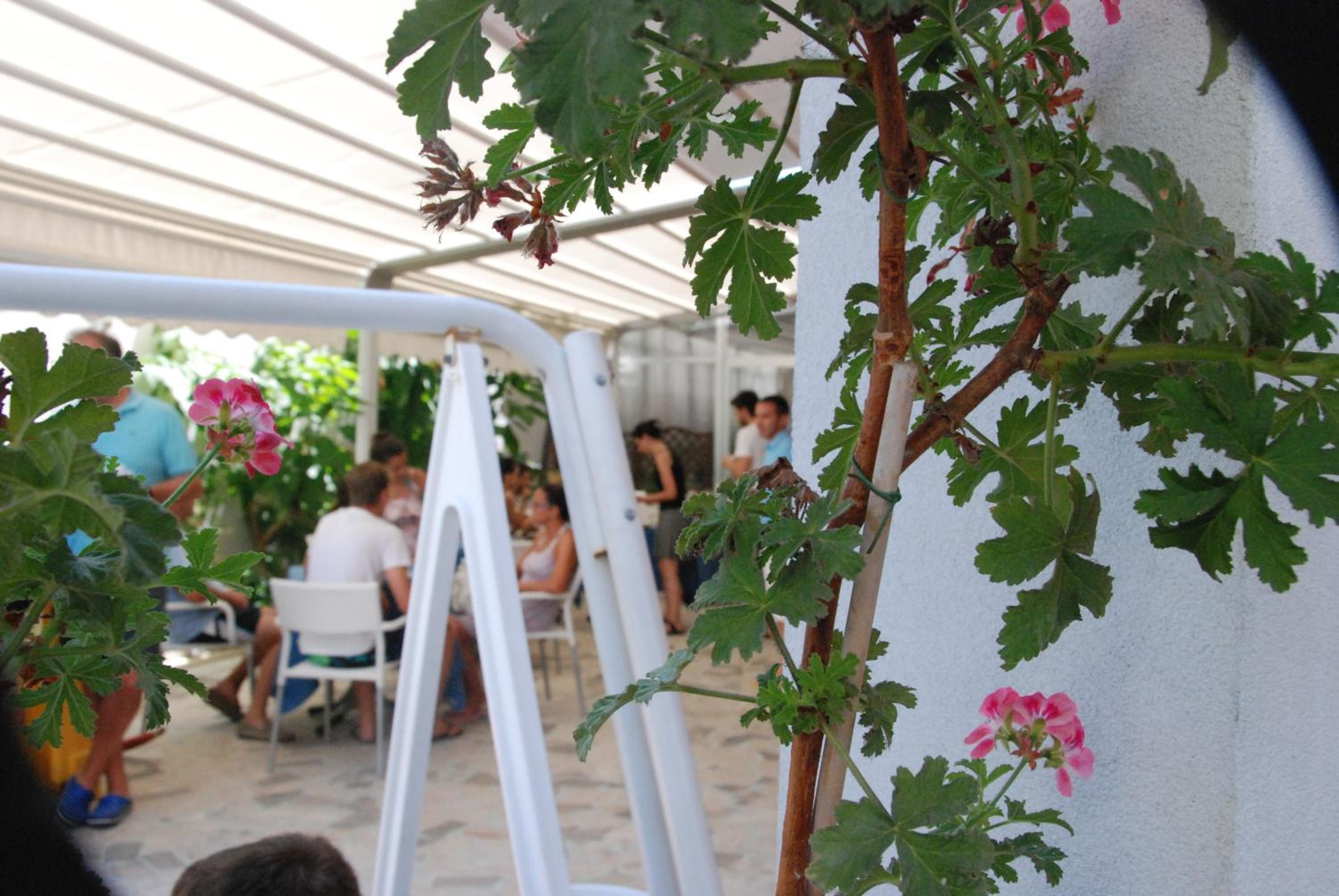 Hotel Cristall, photo 4