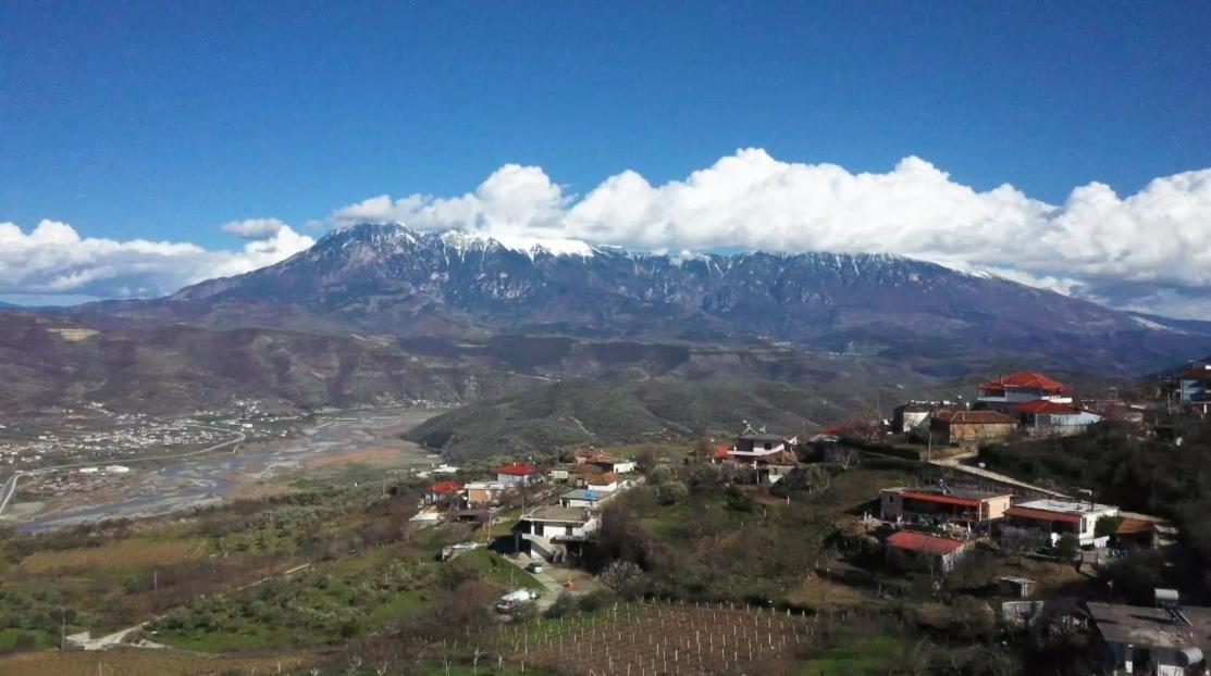 Villa Kuci, Drobonik Berat