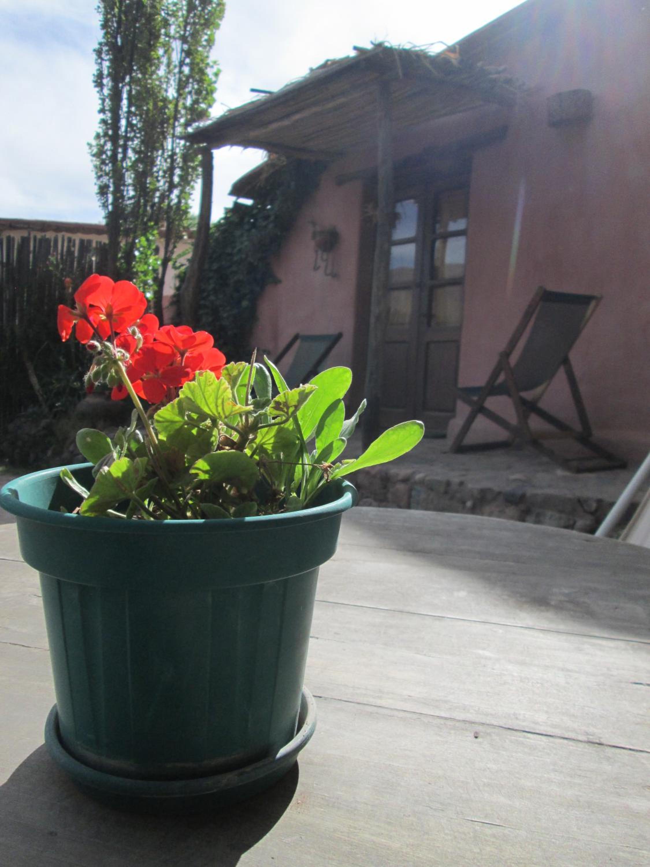 La Calabaza Cabaña