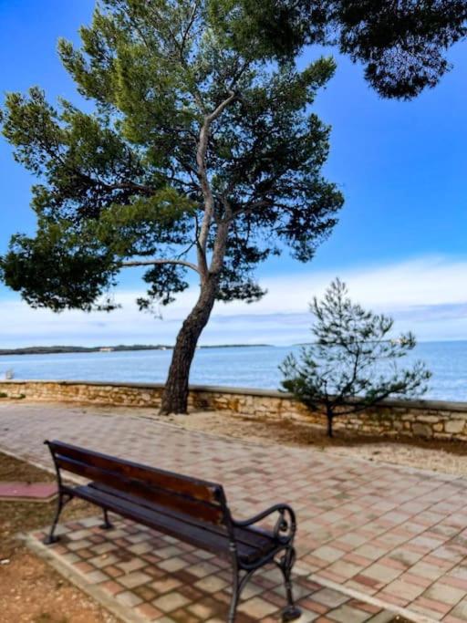 Apartman Dorja