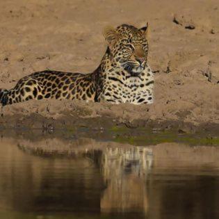 Chalet Pumba, Unit B, 269 Elephant Lodge, Mabalingwe view 2