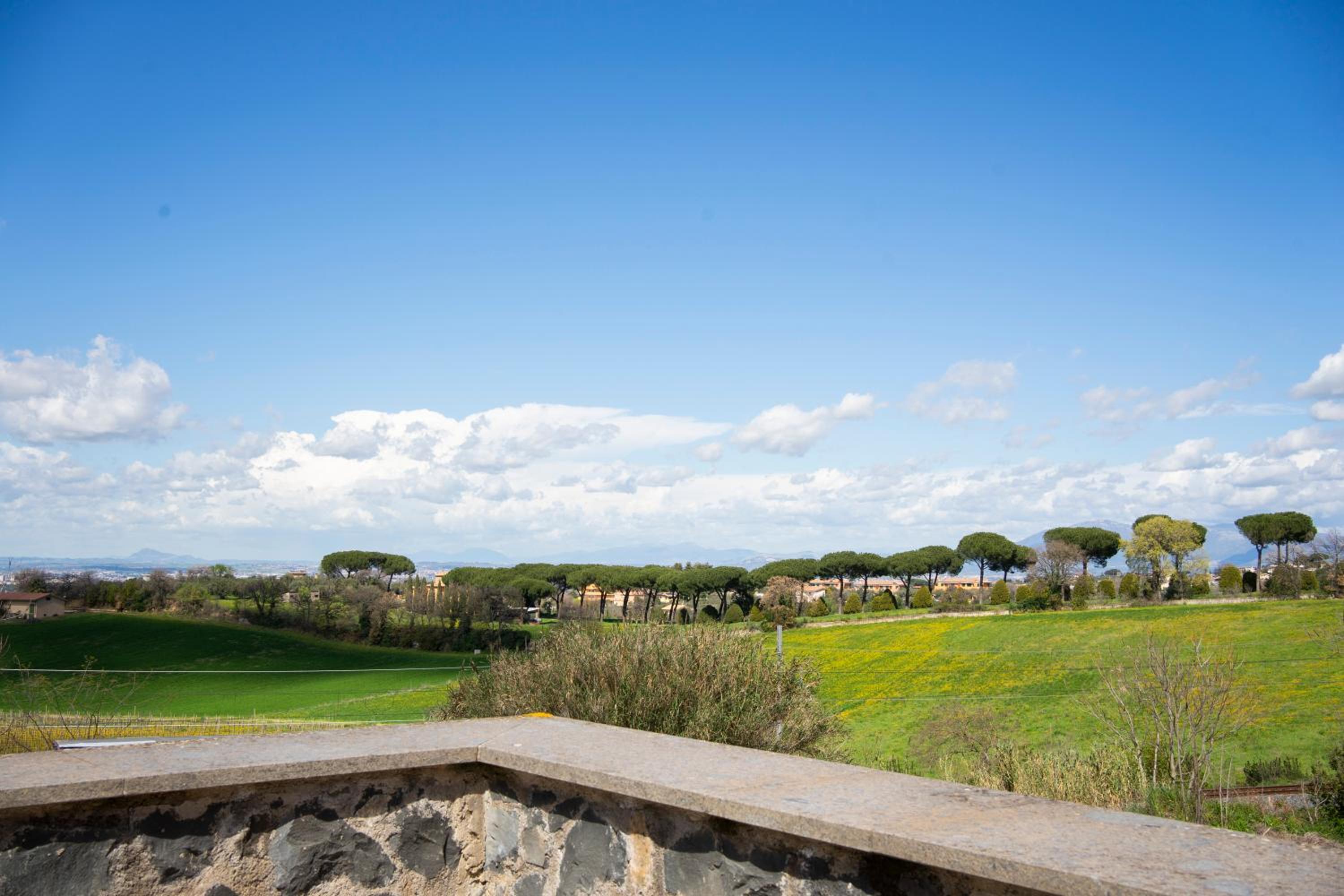 Tenuta Borsari