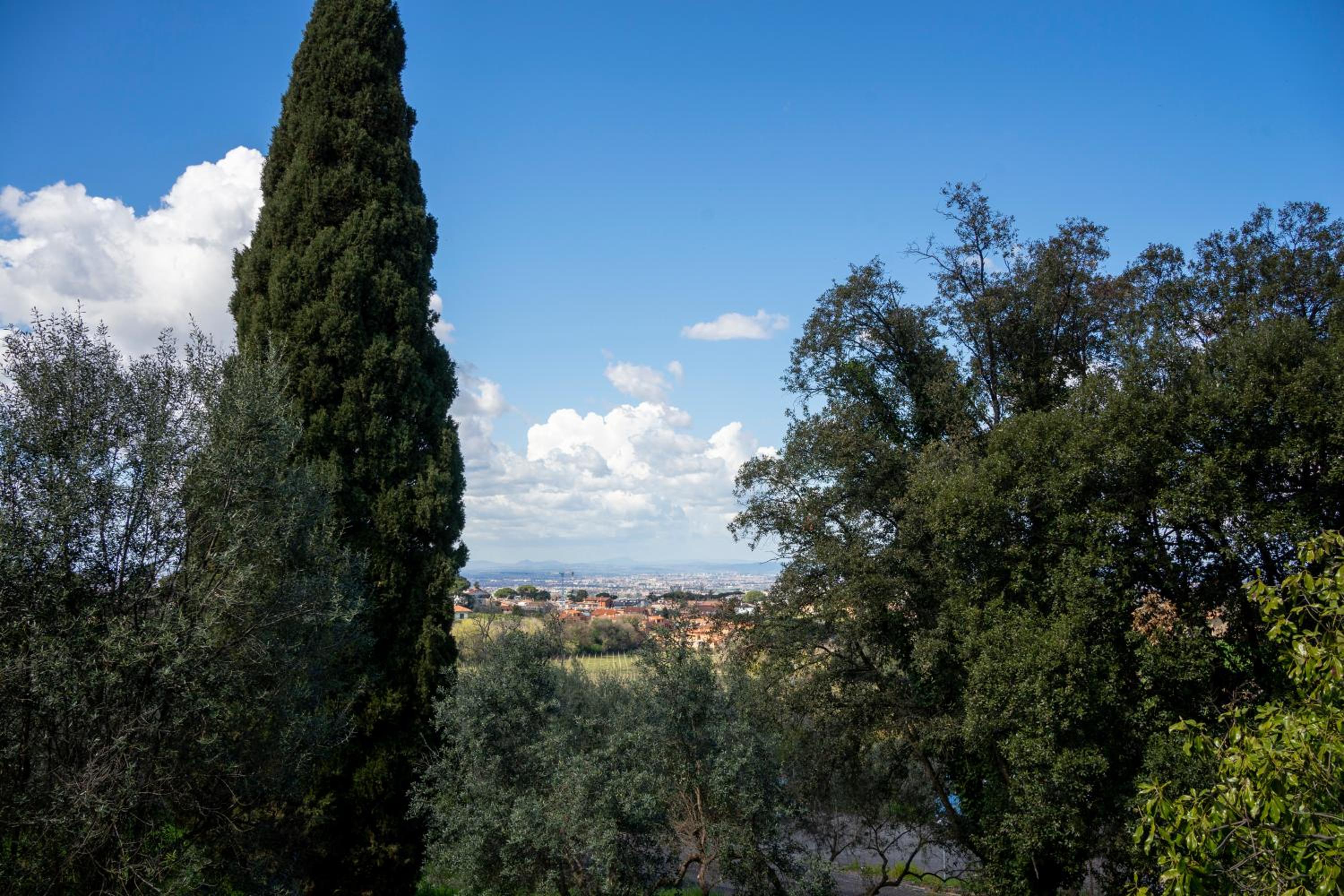 Tenuta Borsari