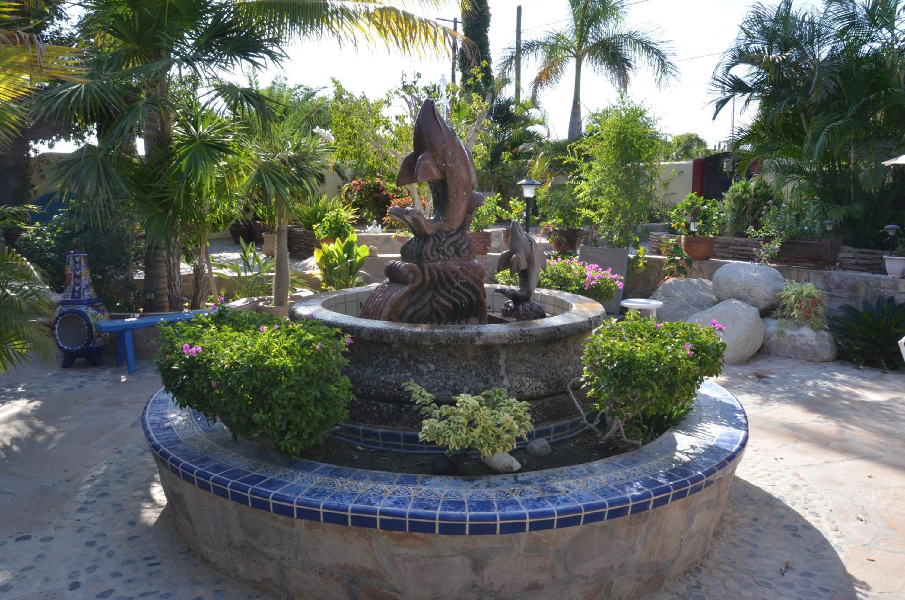 Photo 41