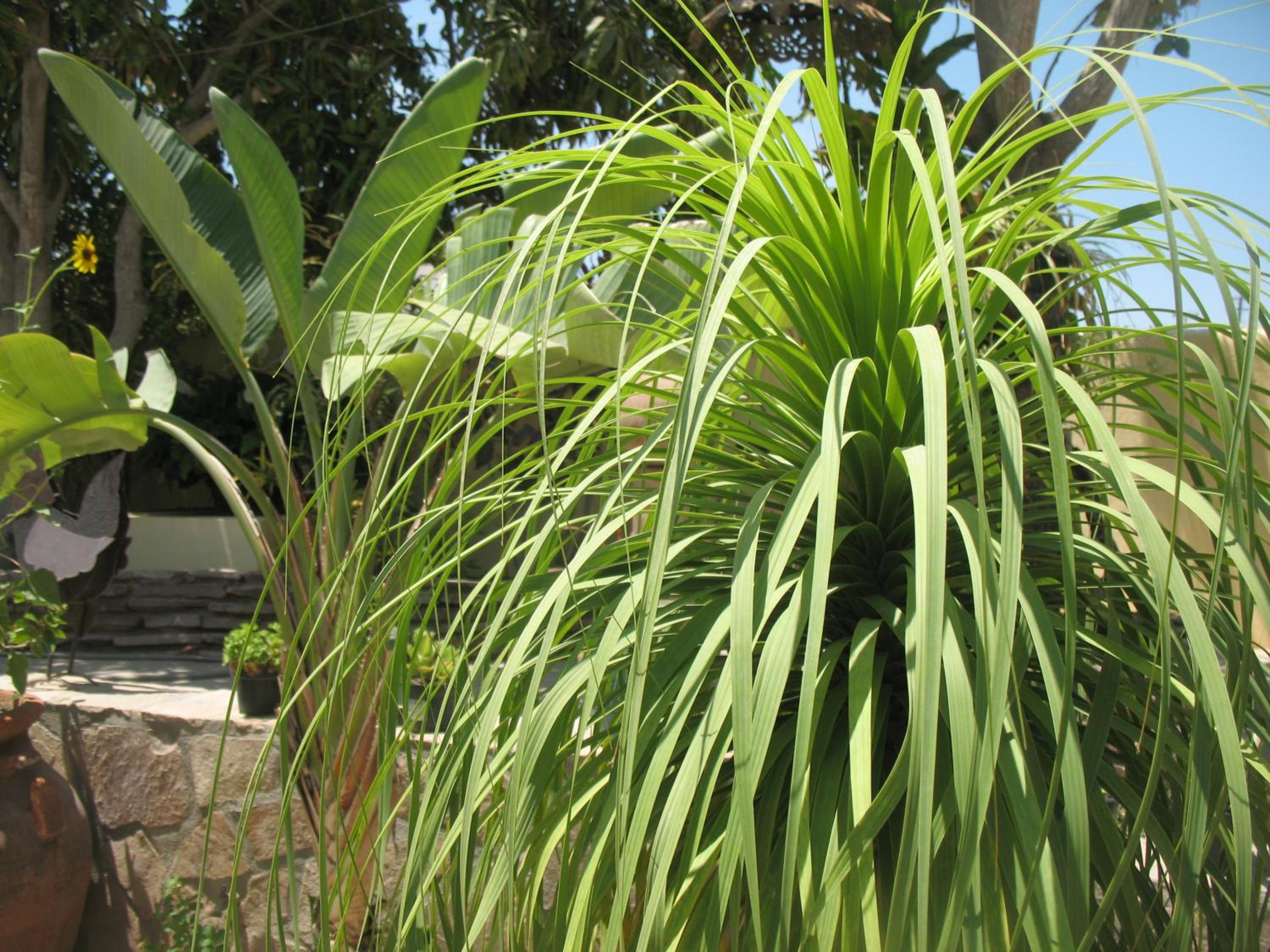 Photo 46
