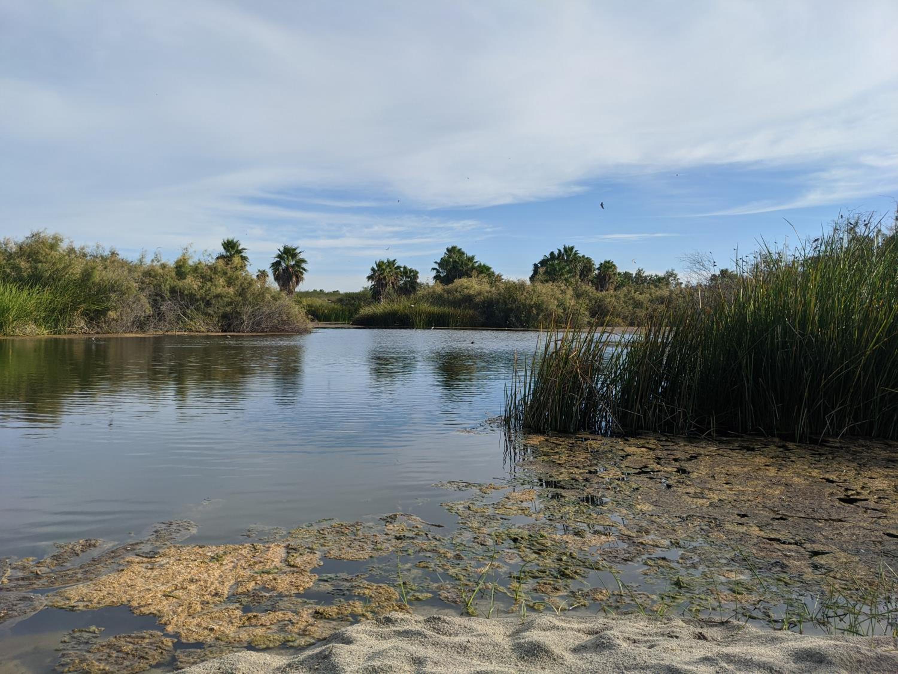 Photo 201