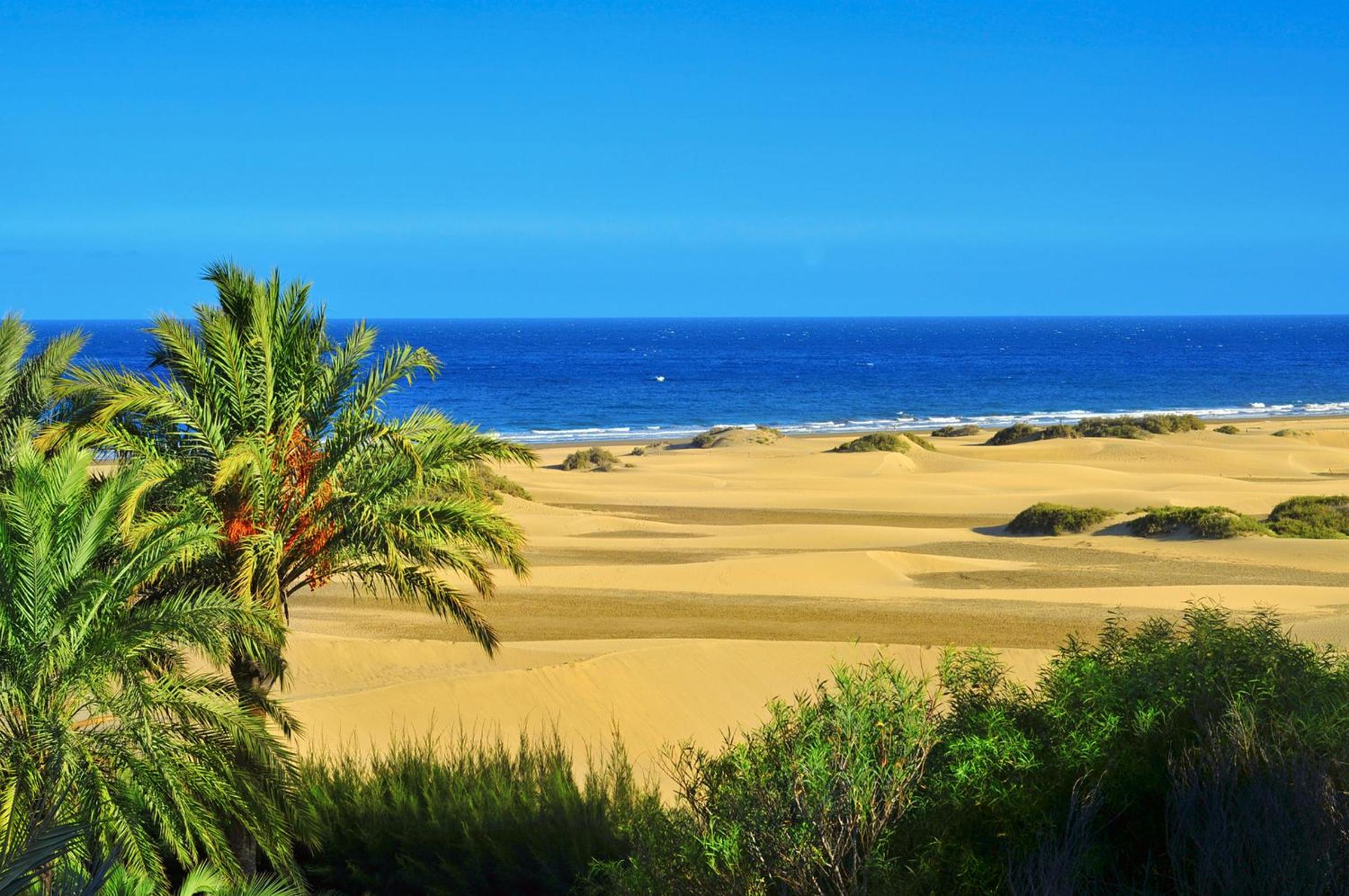 Oasis Playa Maspalomas