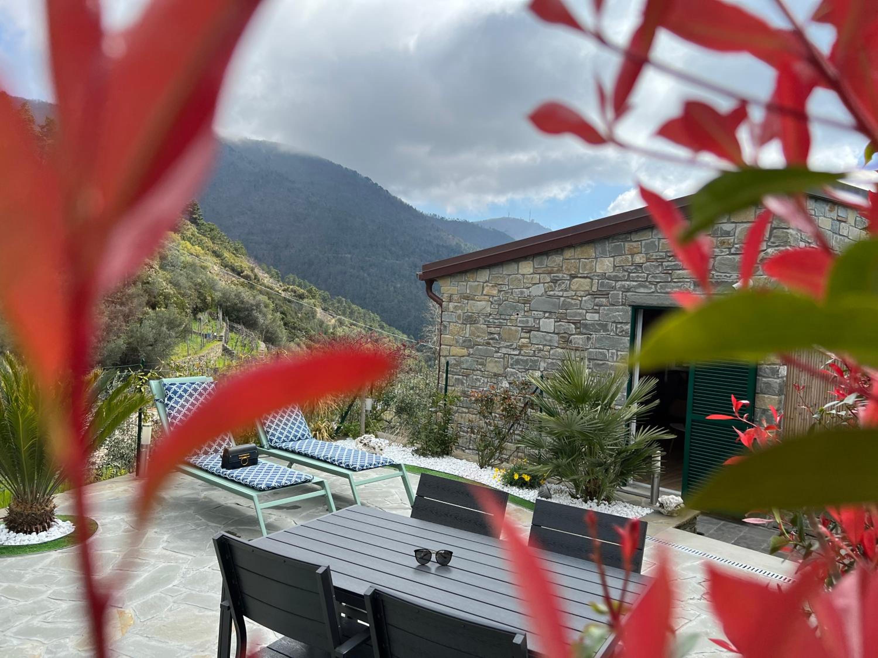 The Garden view 2