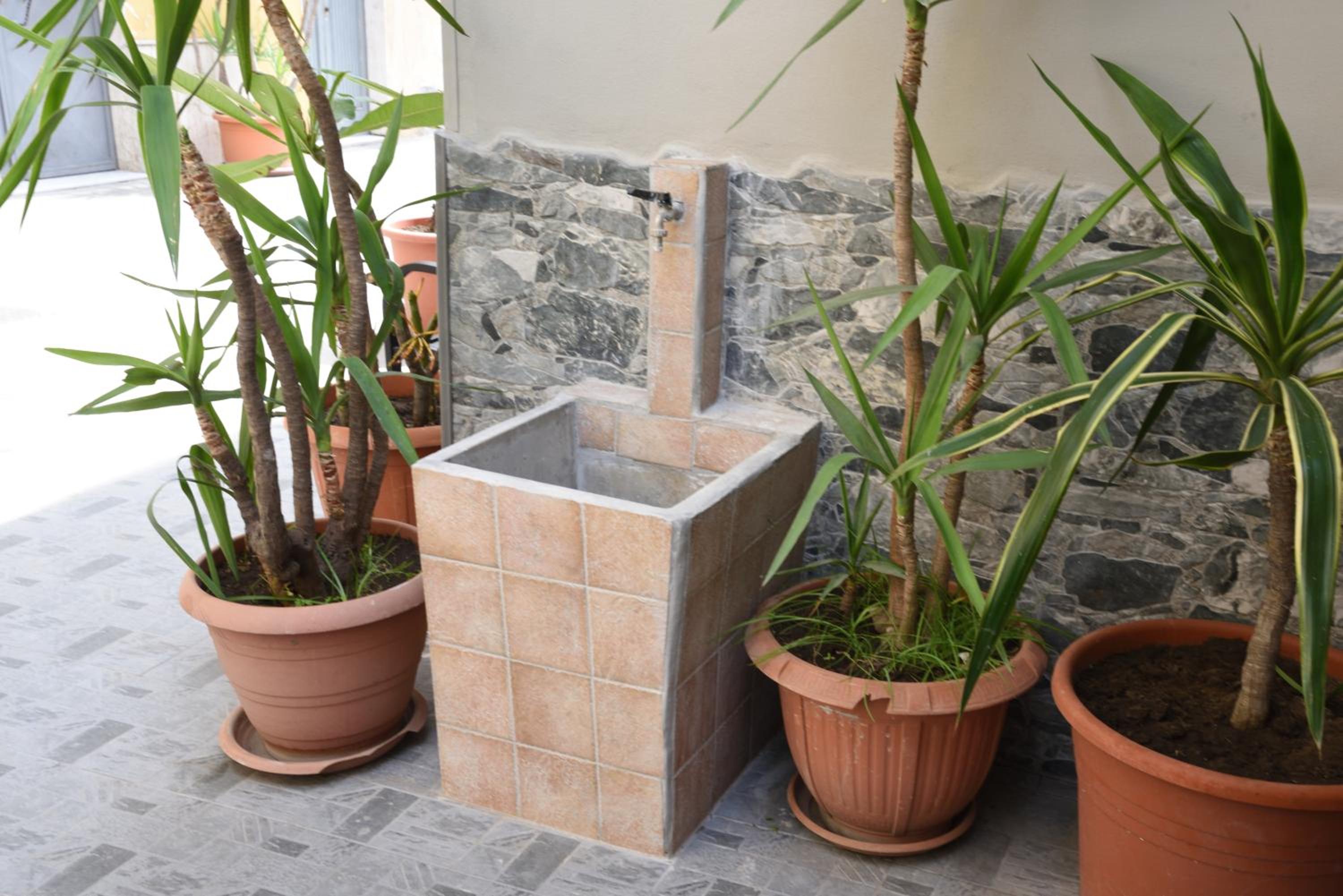 La Margherita d'Oro photo 4