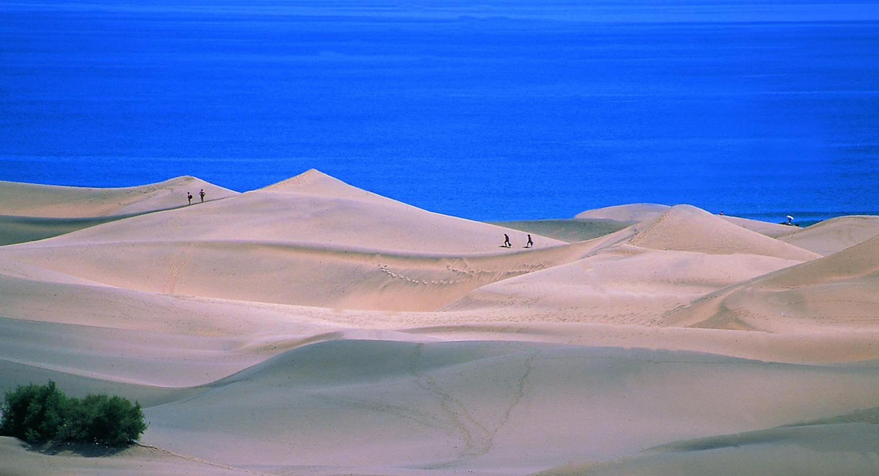 Oasis Playa Maspalomas