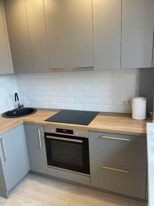 Klaipeda Center Apartment view 3