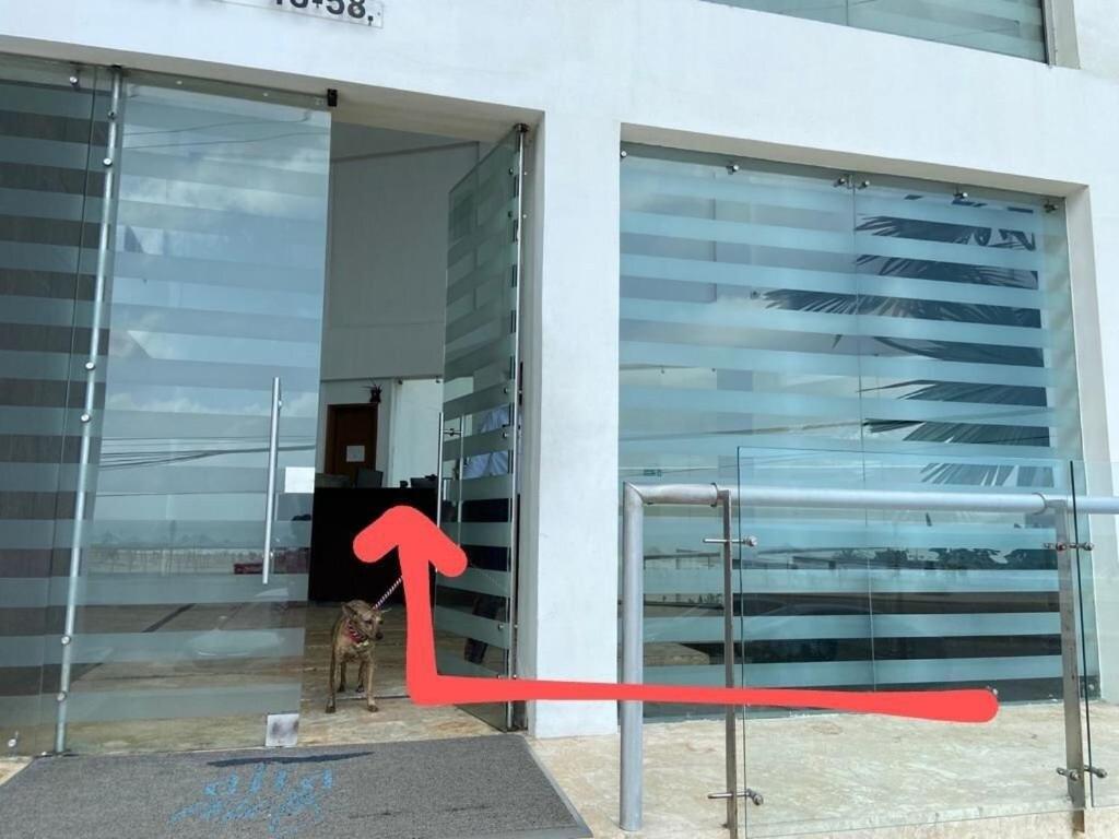 Frente al Mar home office 7B