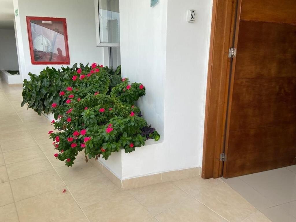 Frente al Mar home office 7B