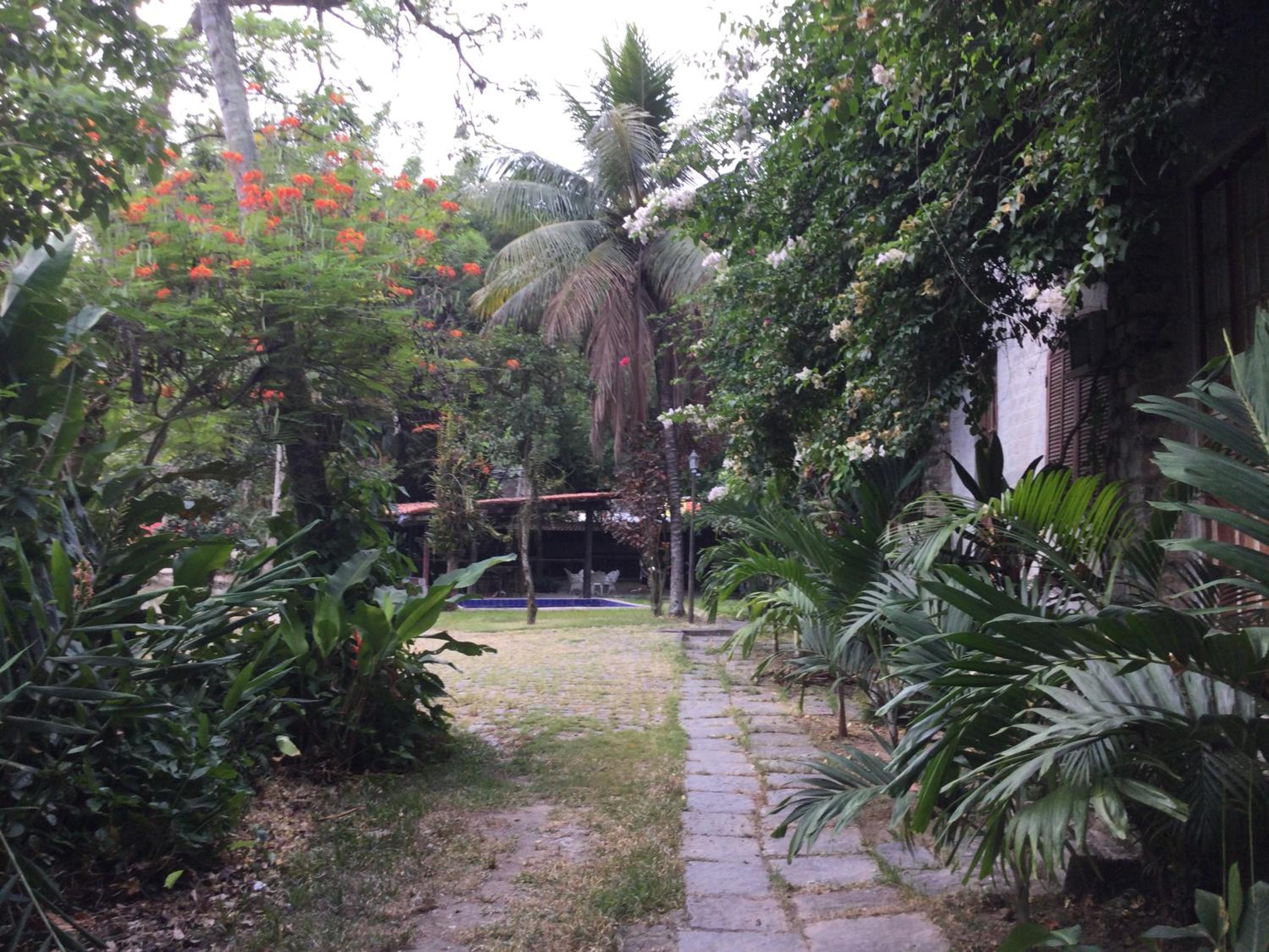 Photo 8
