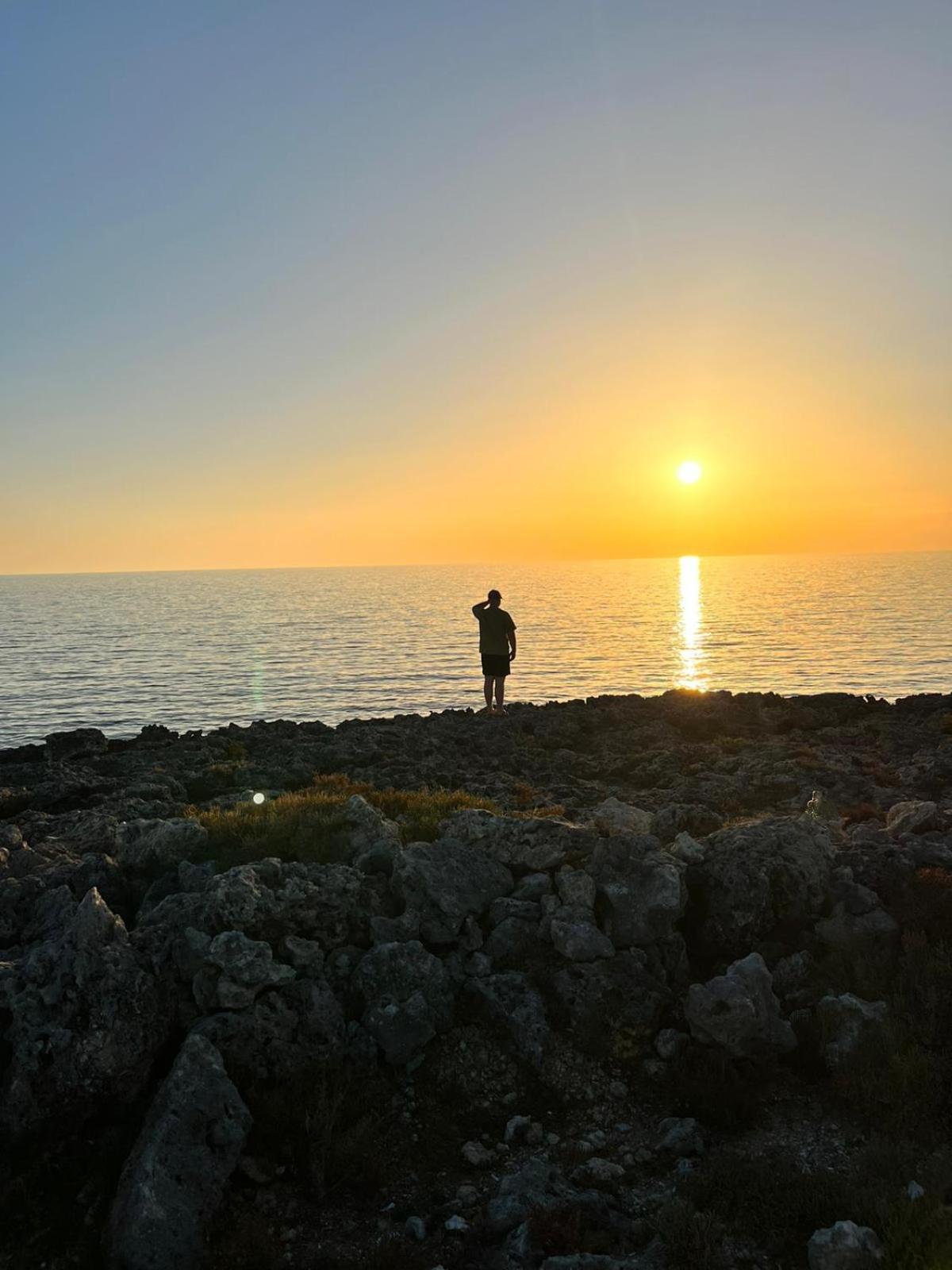 Photo 45