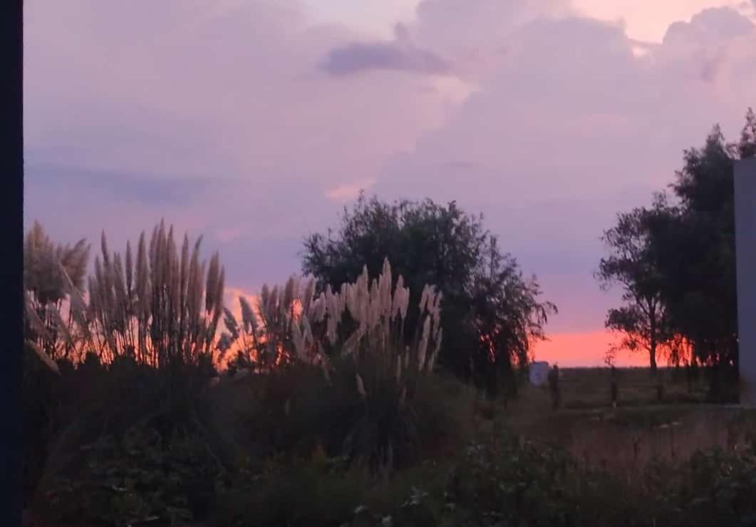 Las Cortaderas