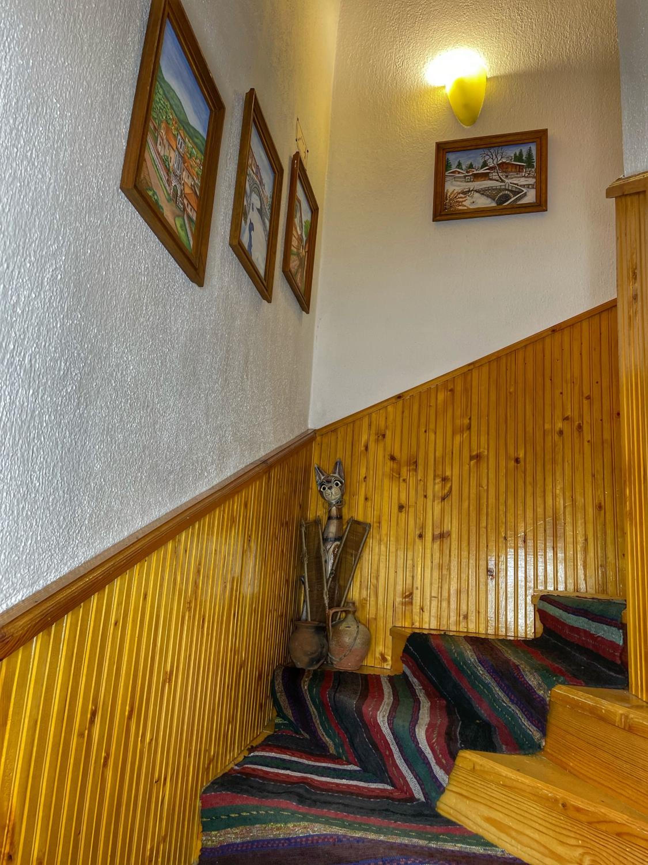 Guest rooms Colorit