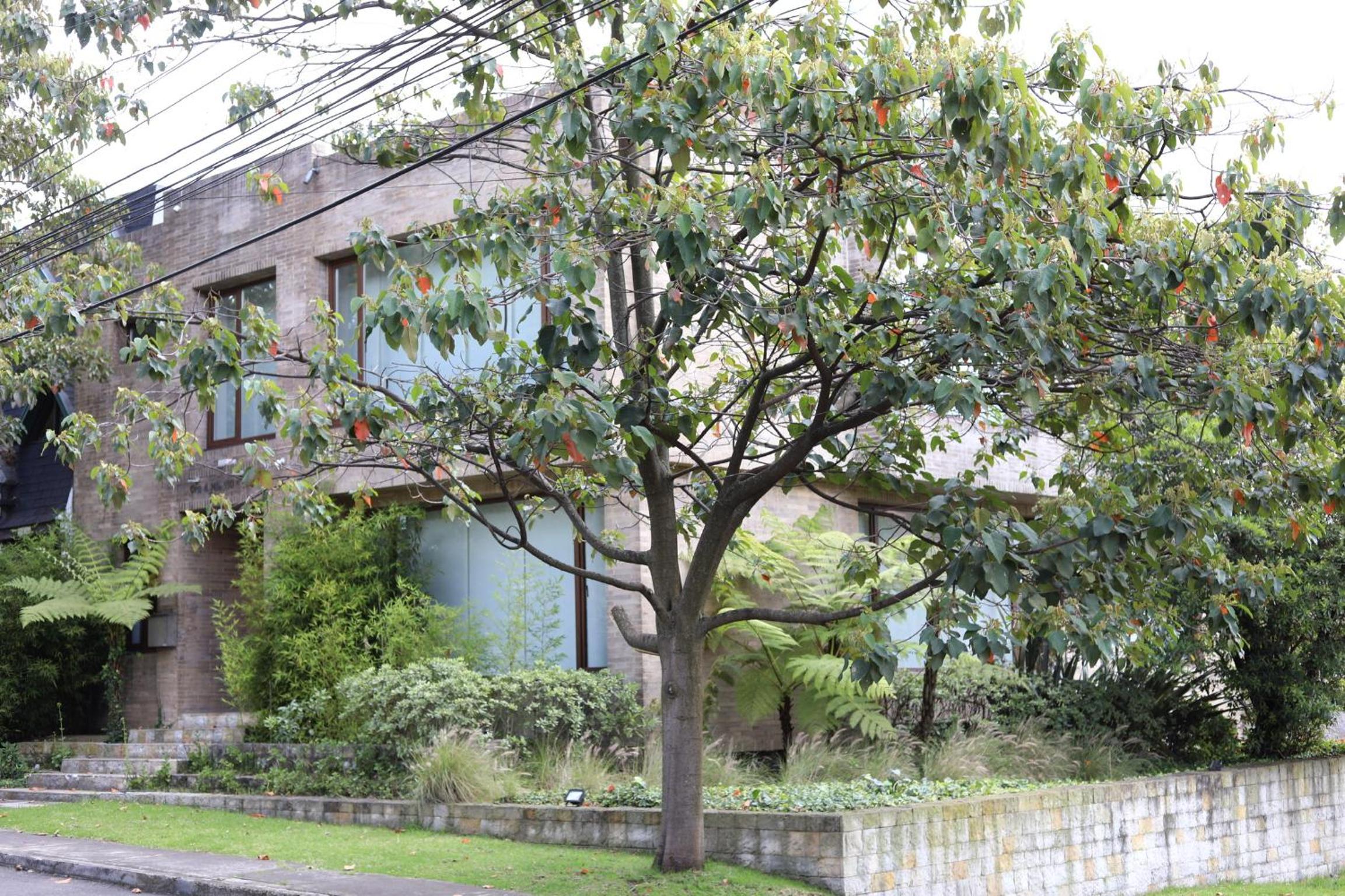 Casa en Santa Ana Oriental Bogotá /500 M2