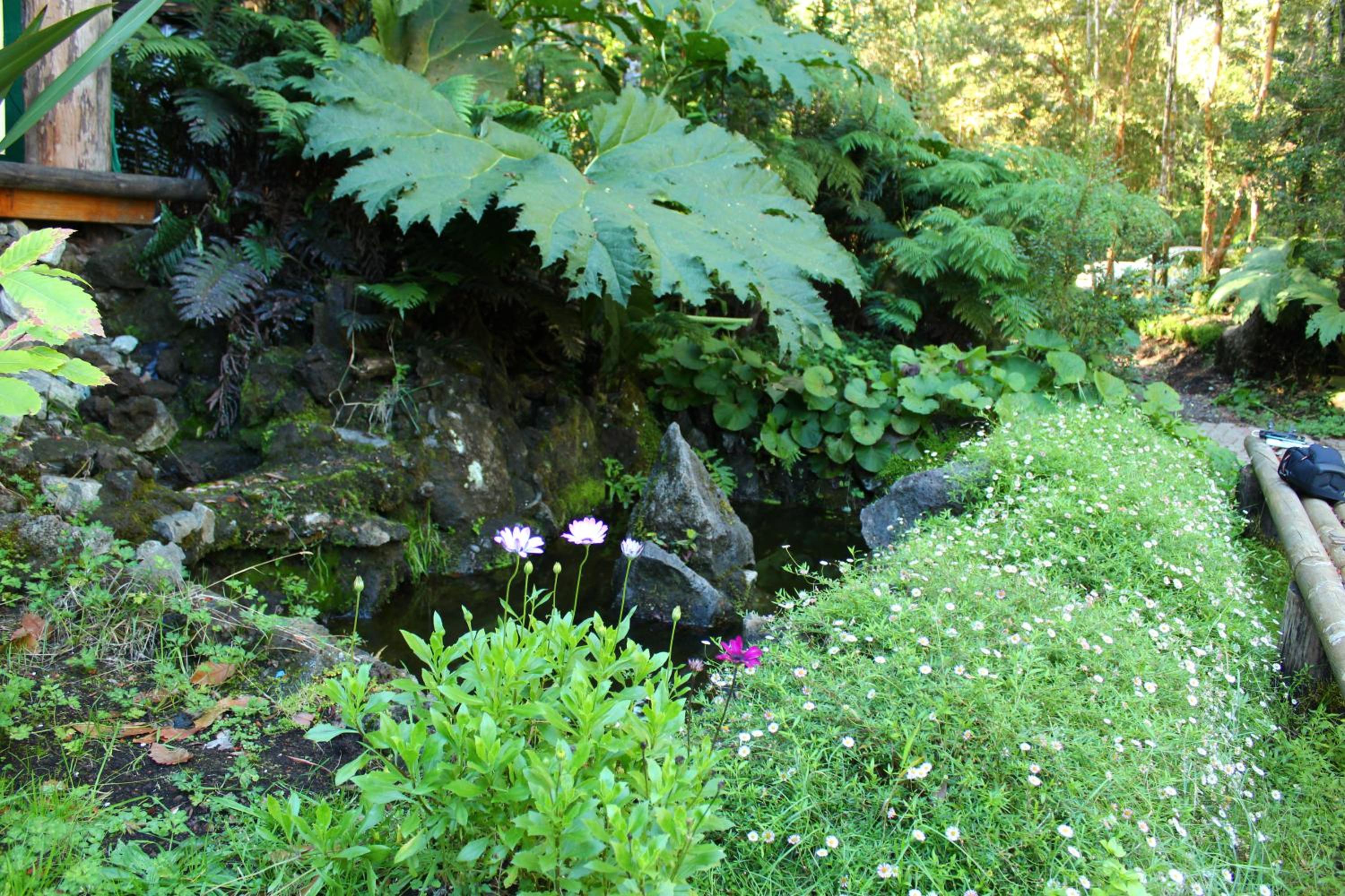 Valle el Abra Ralún Lodge
