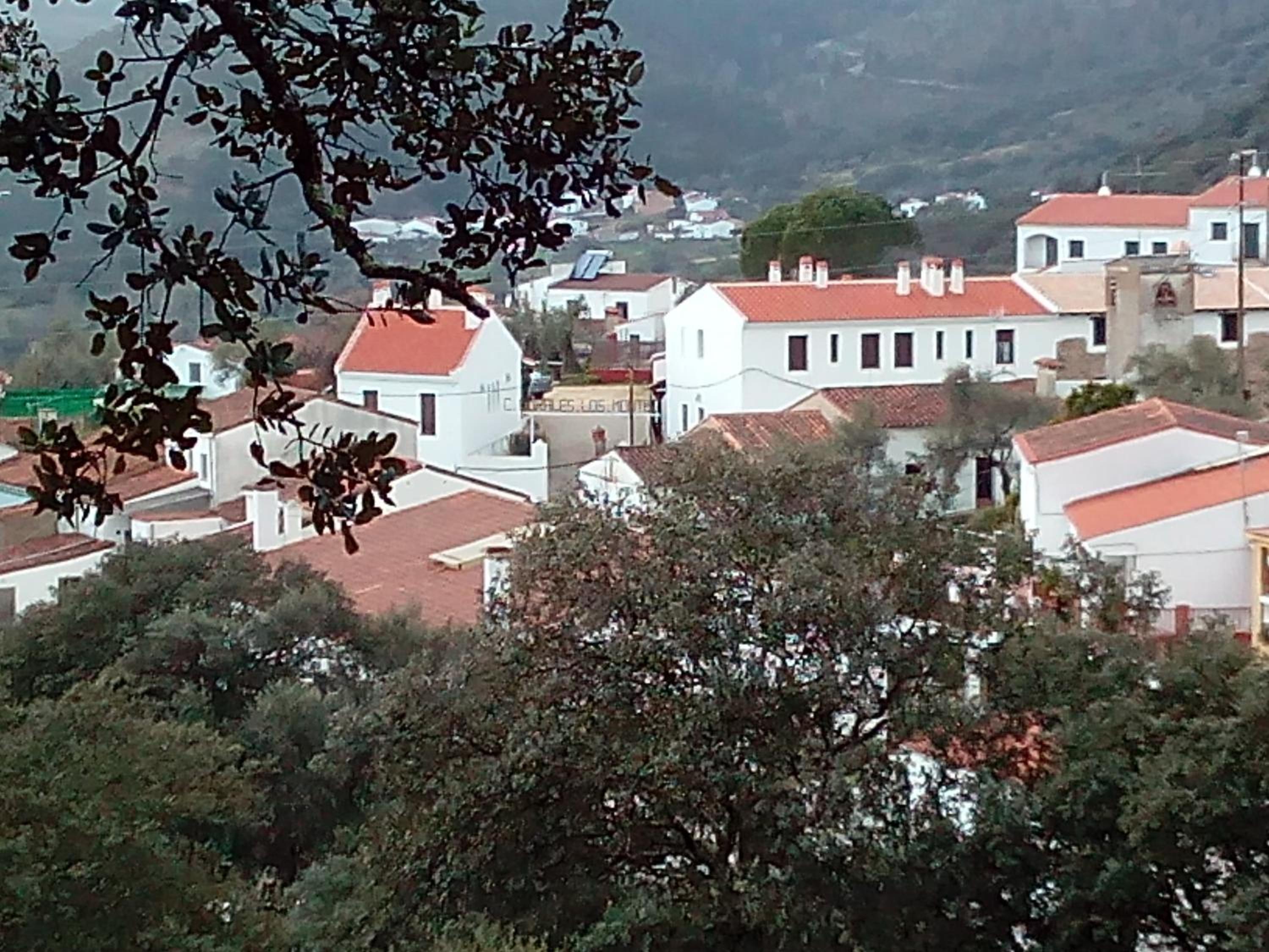 Photo 43