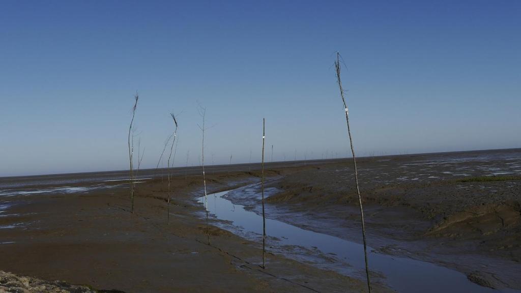 Nordstrand