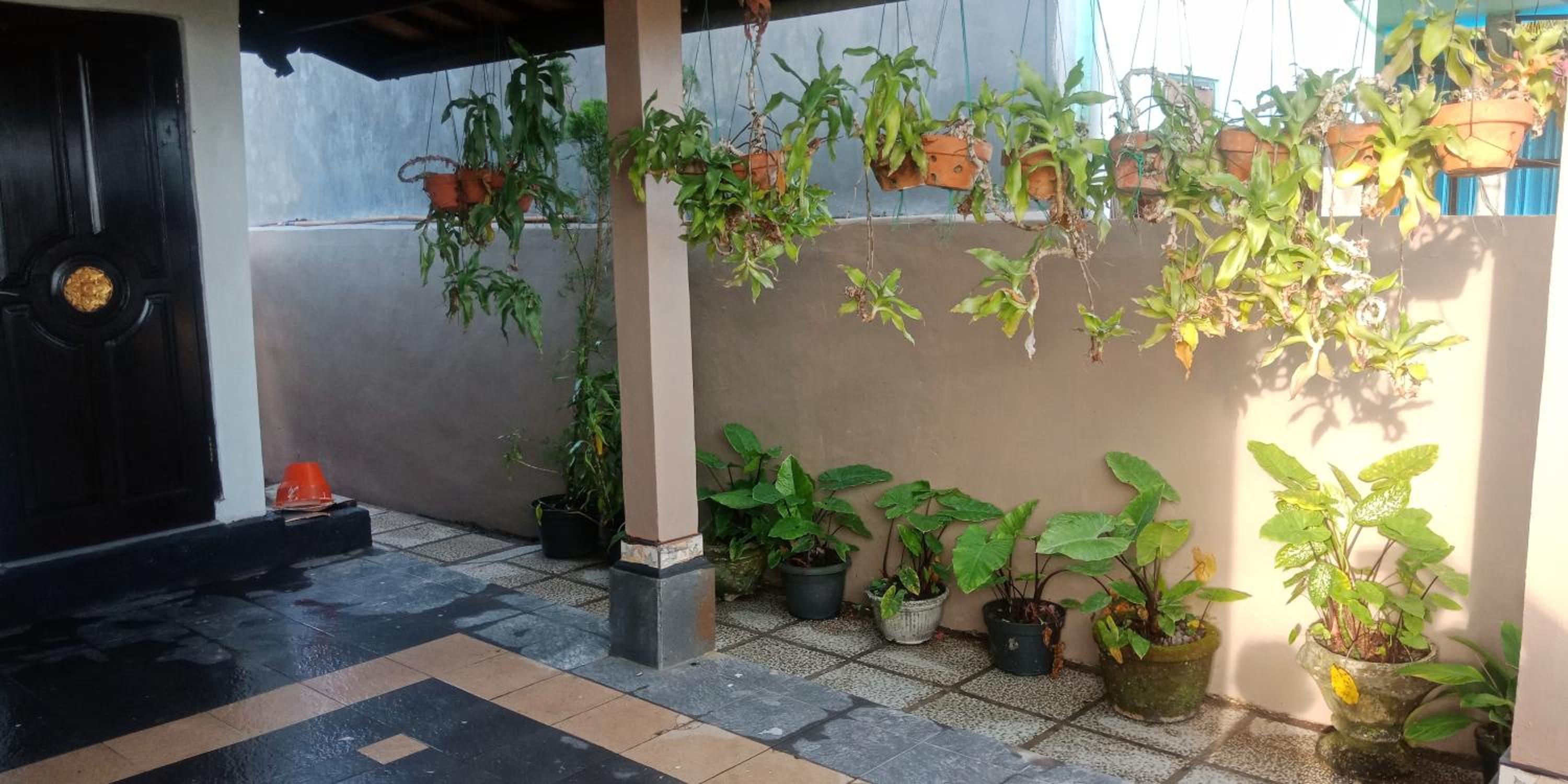 Photo 43