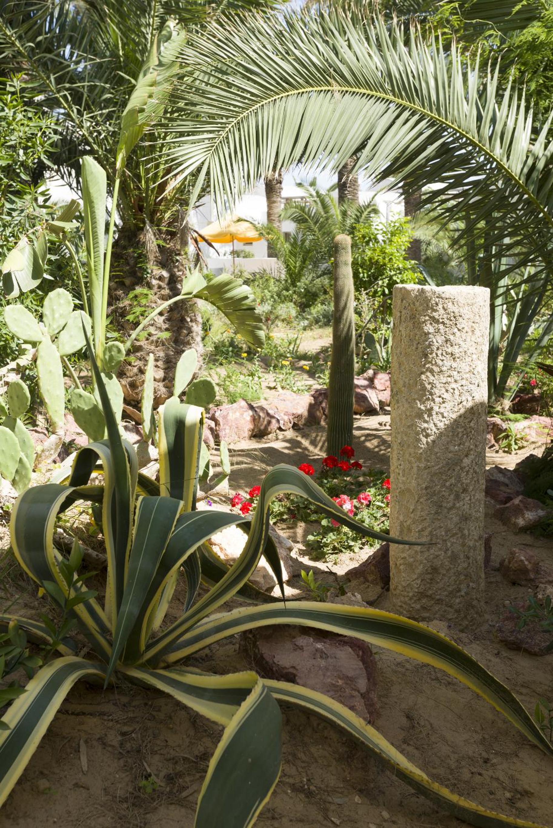 Hammamet Vacations - The Sindbad - Property Image 58