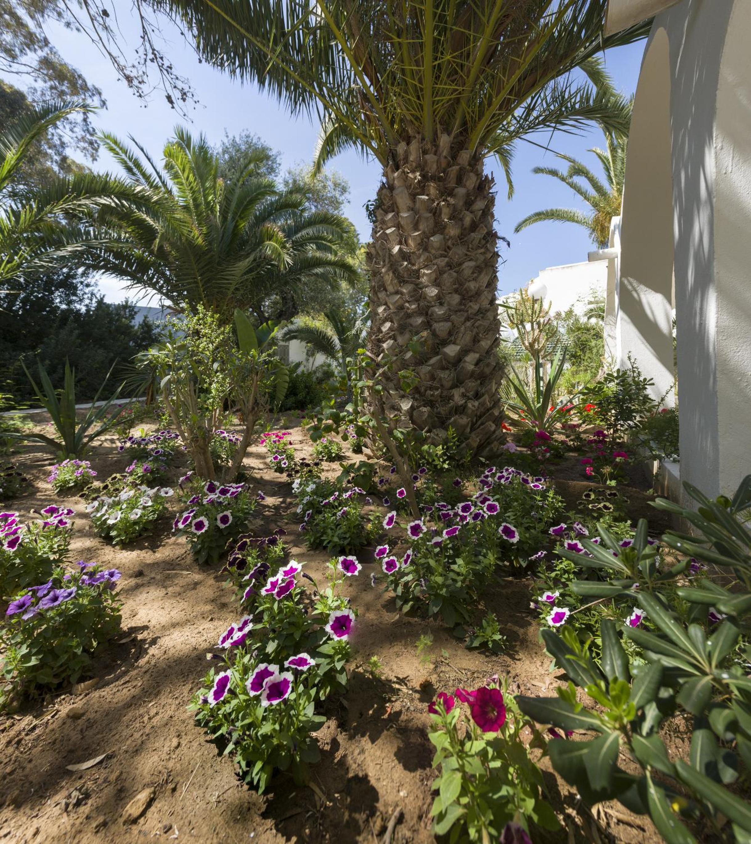 Hammamet Vacations - The Sindbad - Property Image 17