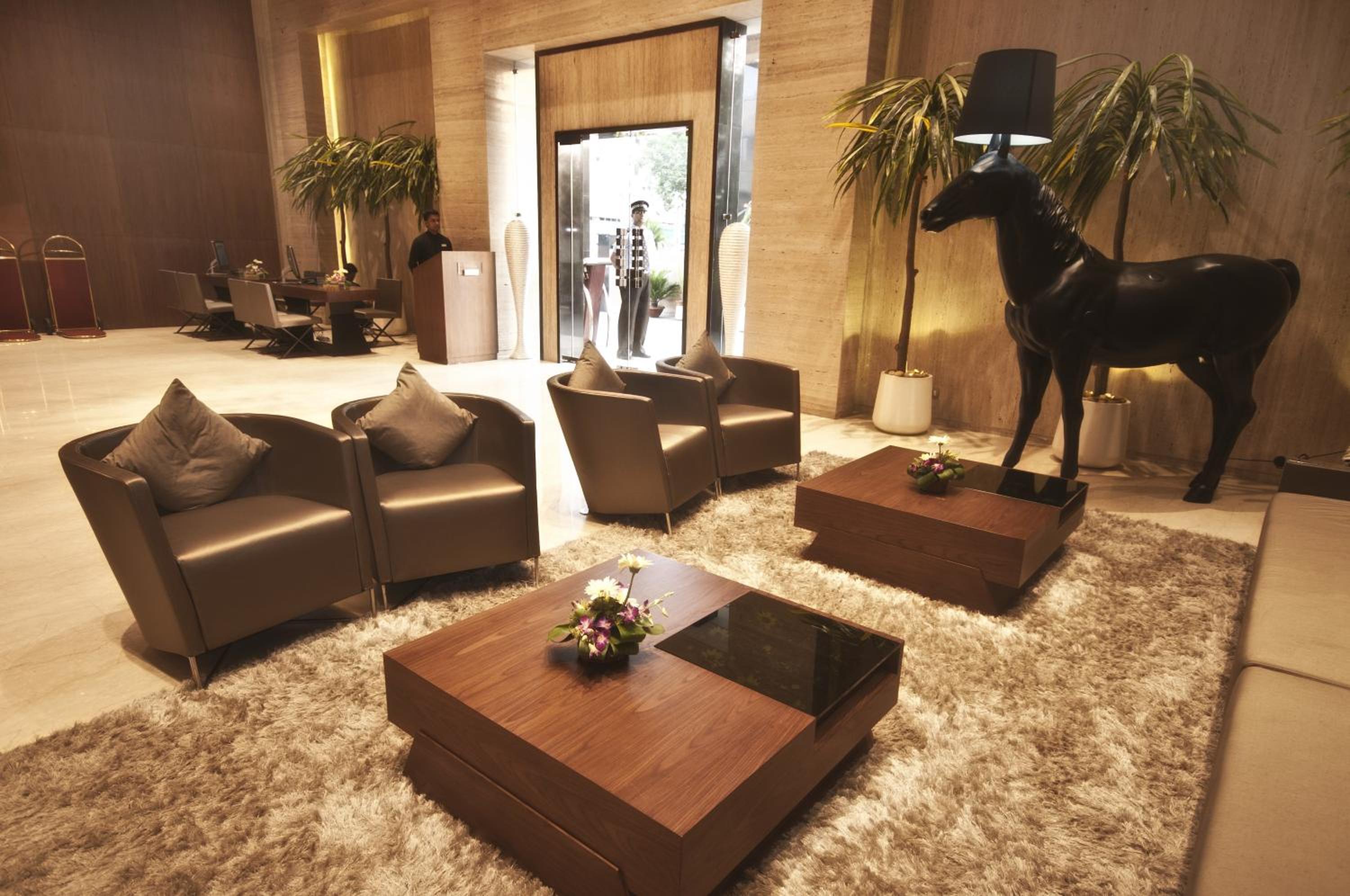 recepcion & lobby