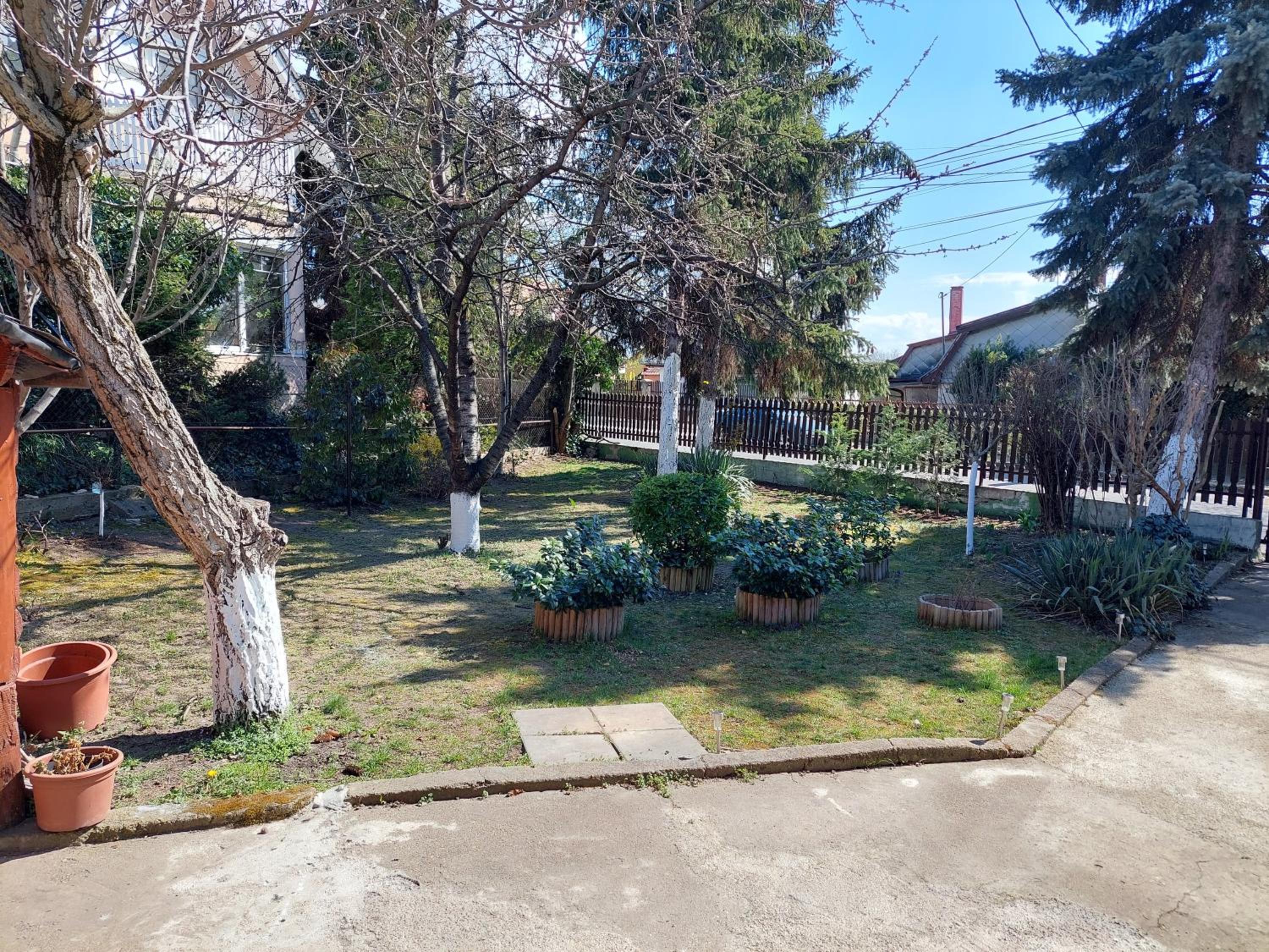 Dizike Pet-friendly Guesthouse