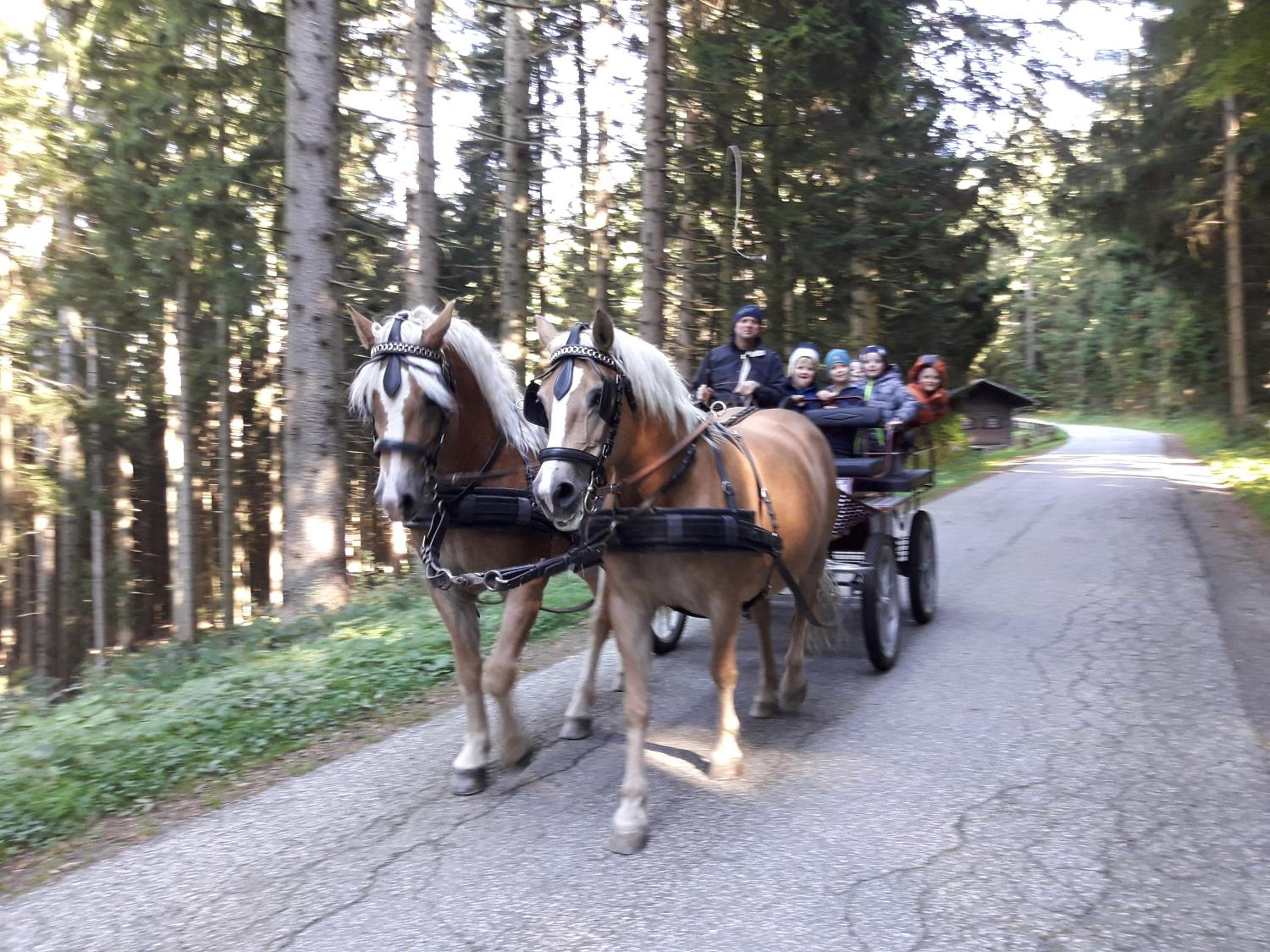 Ferienhaus Kitting