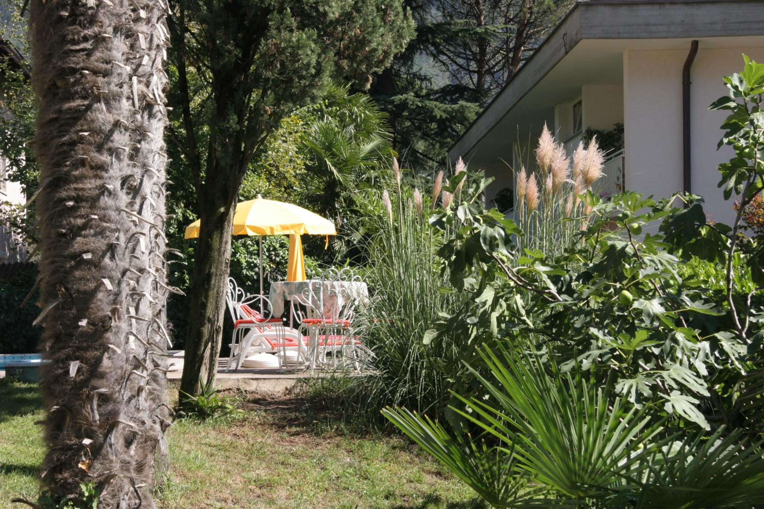 Photo 24