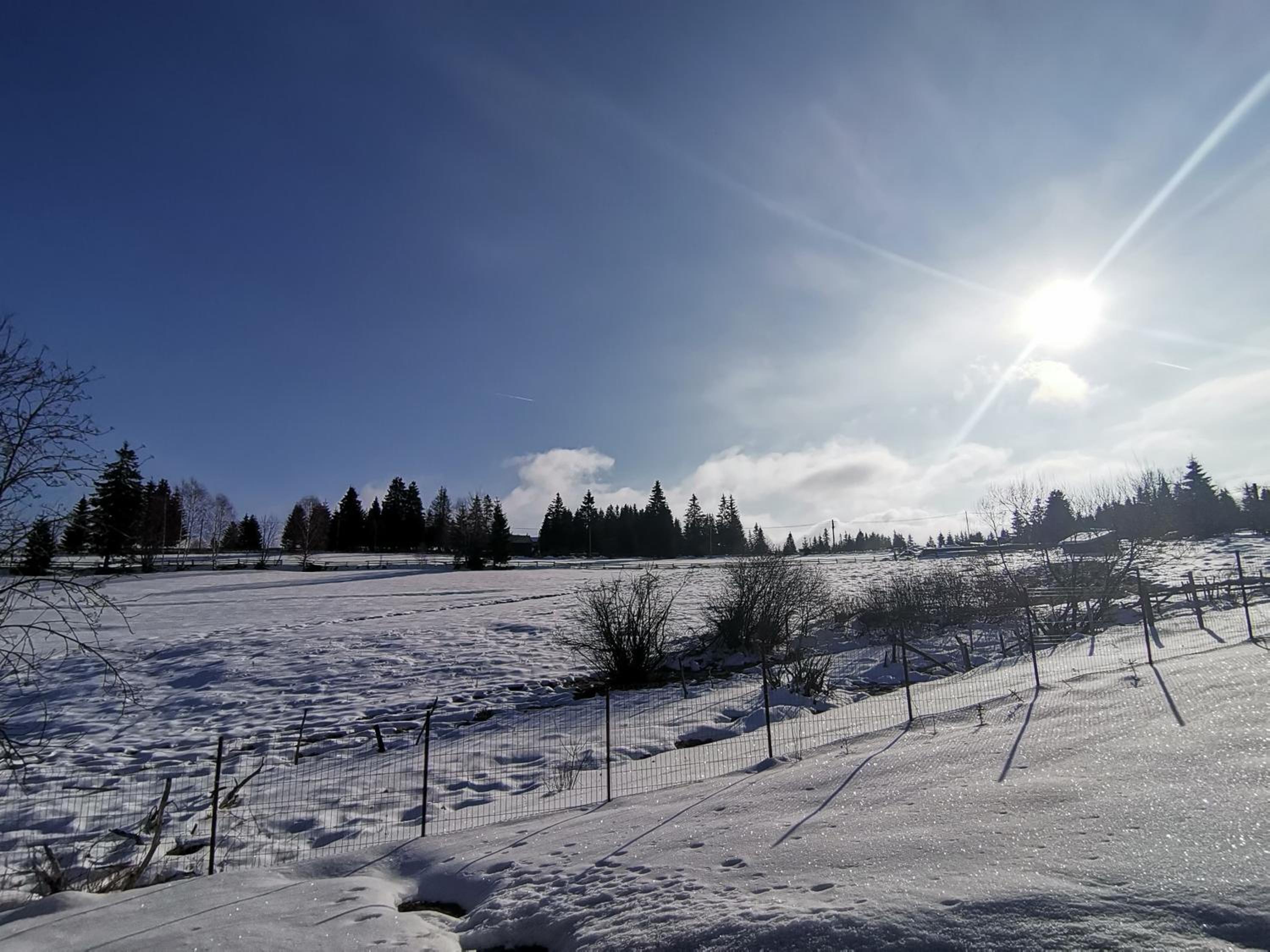 Căsuța de munte view 4