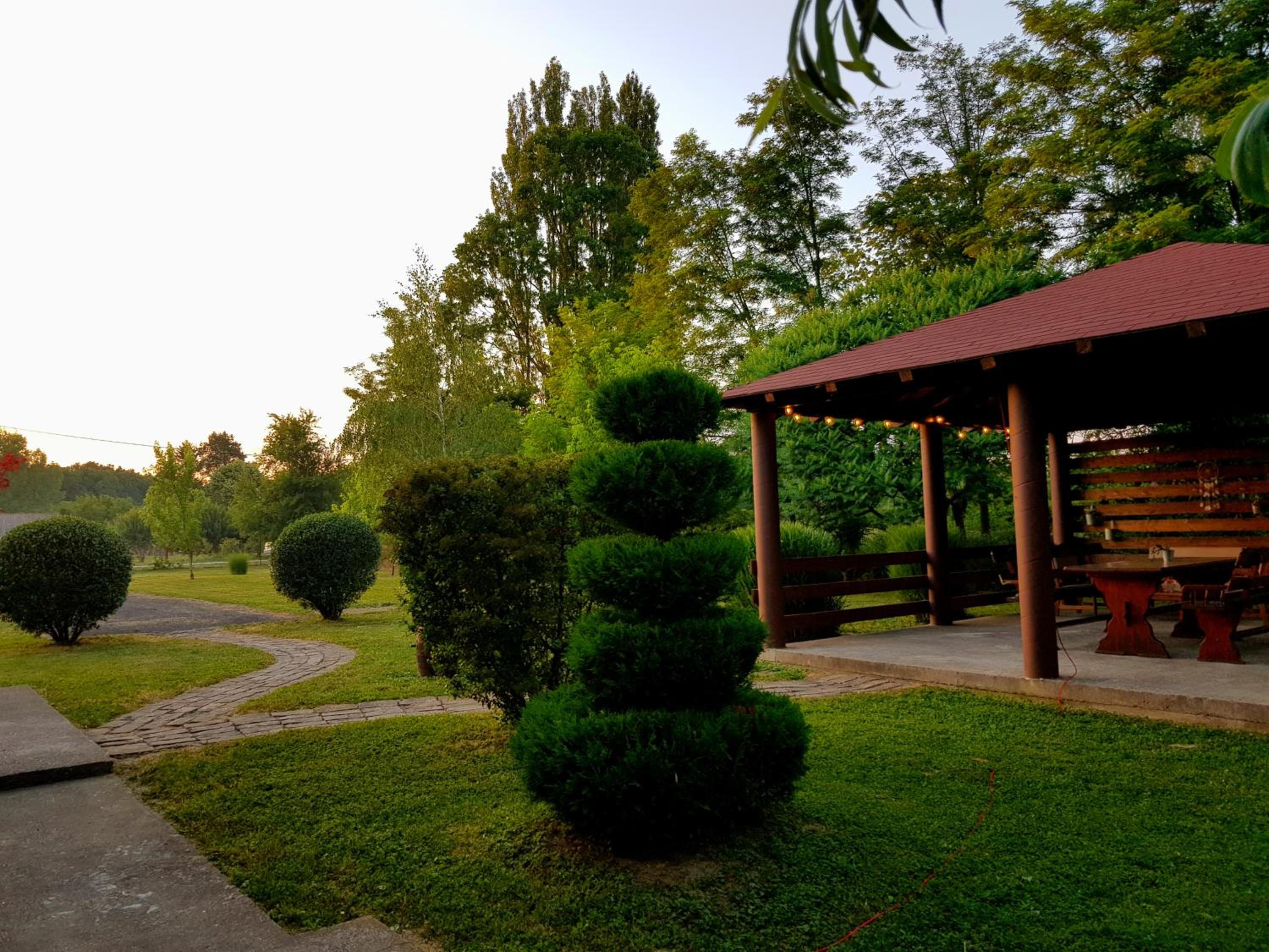 Photo 18