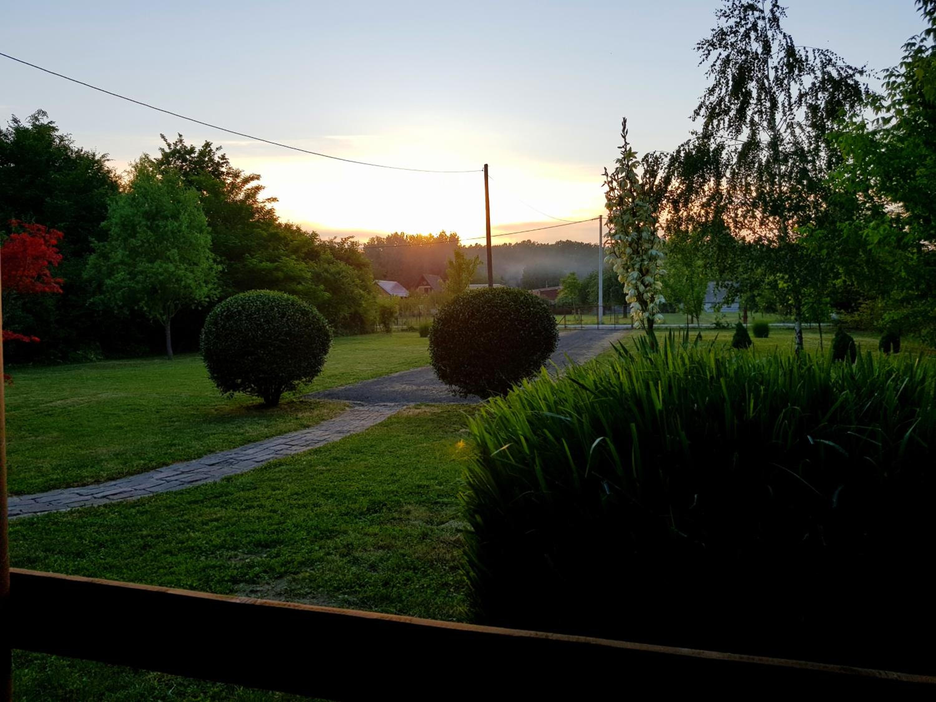 Photo 19